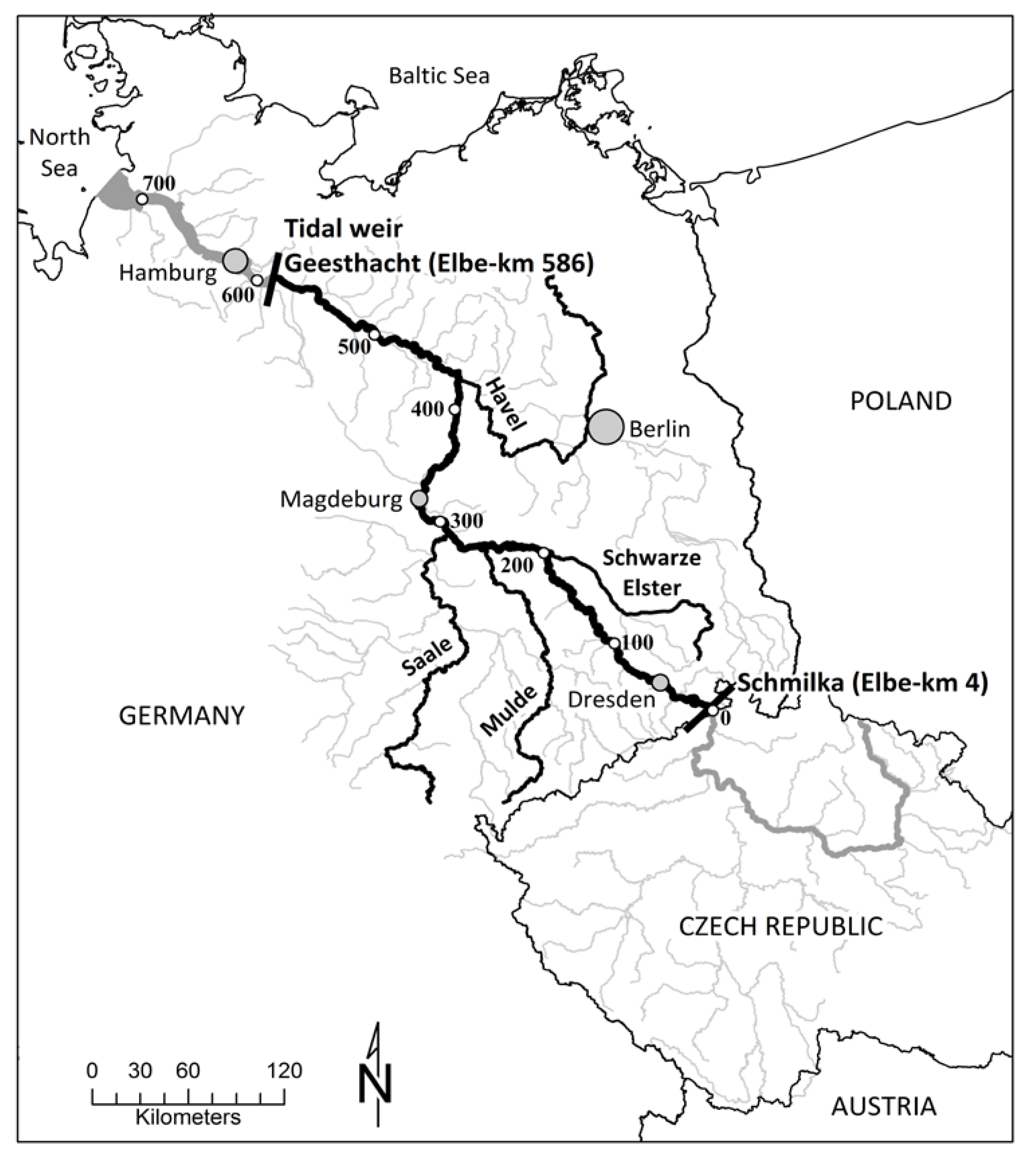 Water | Free Full-Text | A Mass Balance of Nitrogen in a Large Lowland  River (Elbe, Germany) | HTML