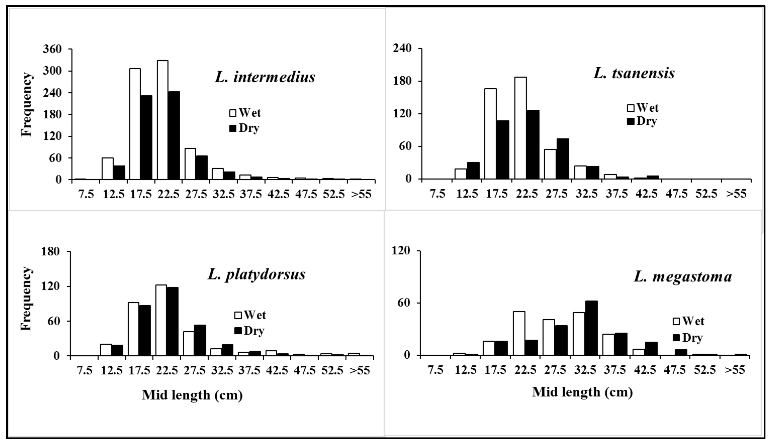 Water | Free Full-Text | The Endemic Species Flock of Labeobarbus spp