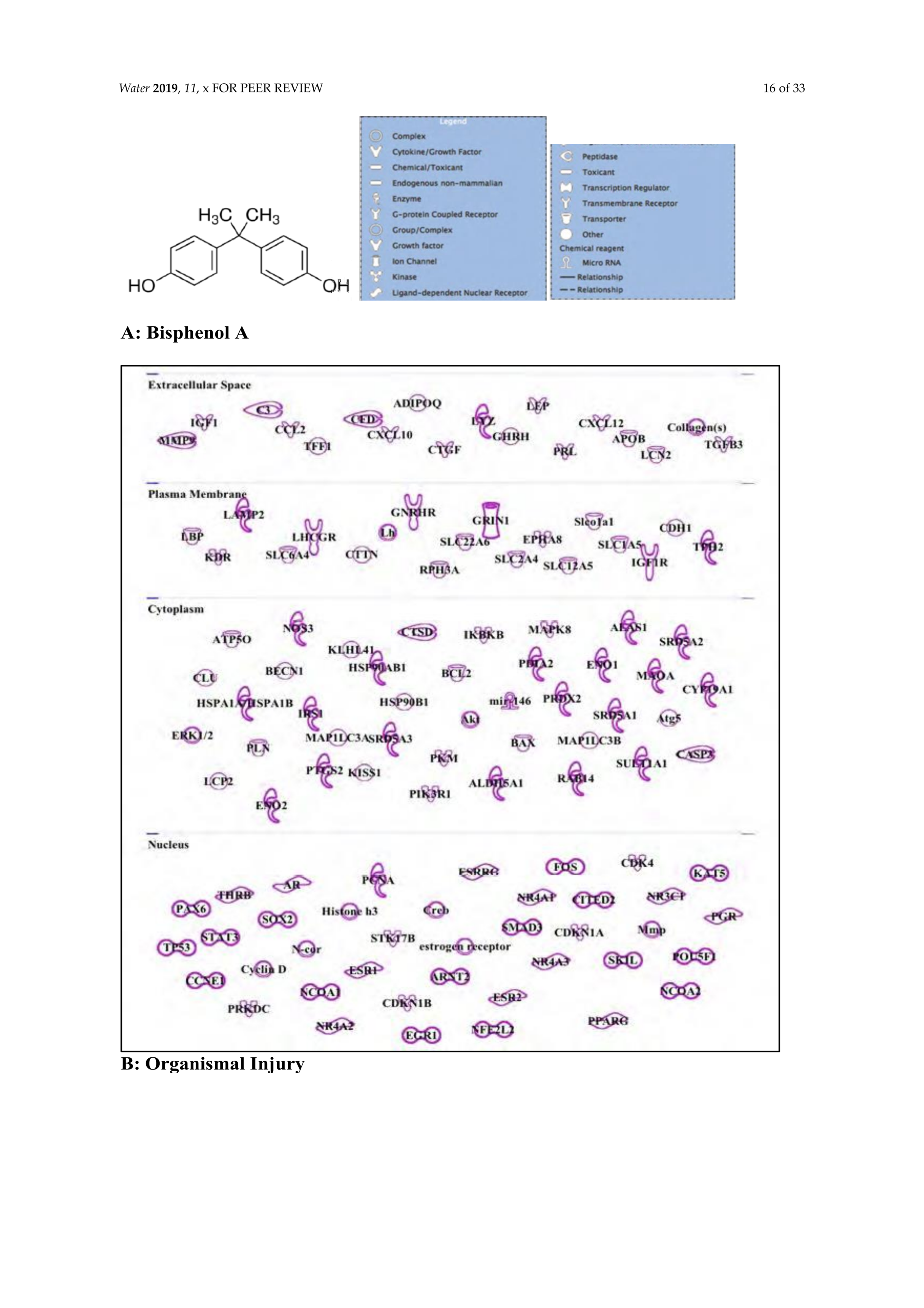 Water 11 02615 g005a