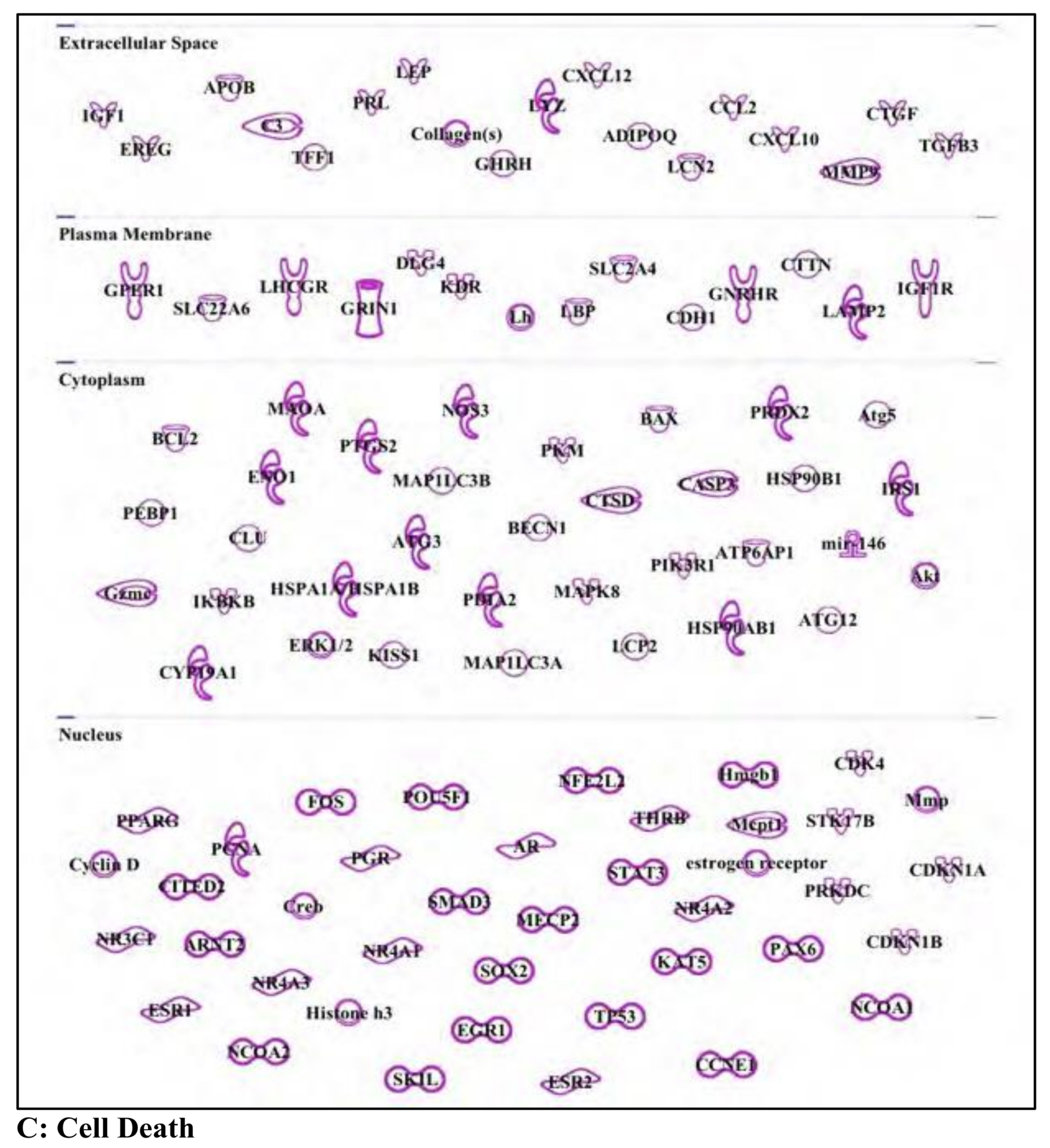 Water 11 02615 g005b