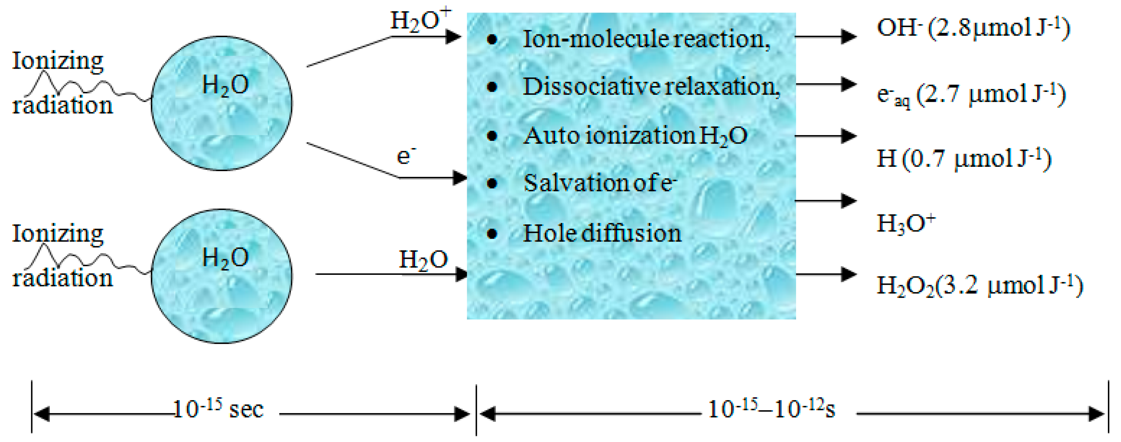 Water | Free Full-Text | Application of Ionizing Radiation in Wastewater  Treatment: An Overview