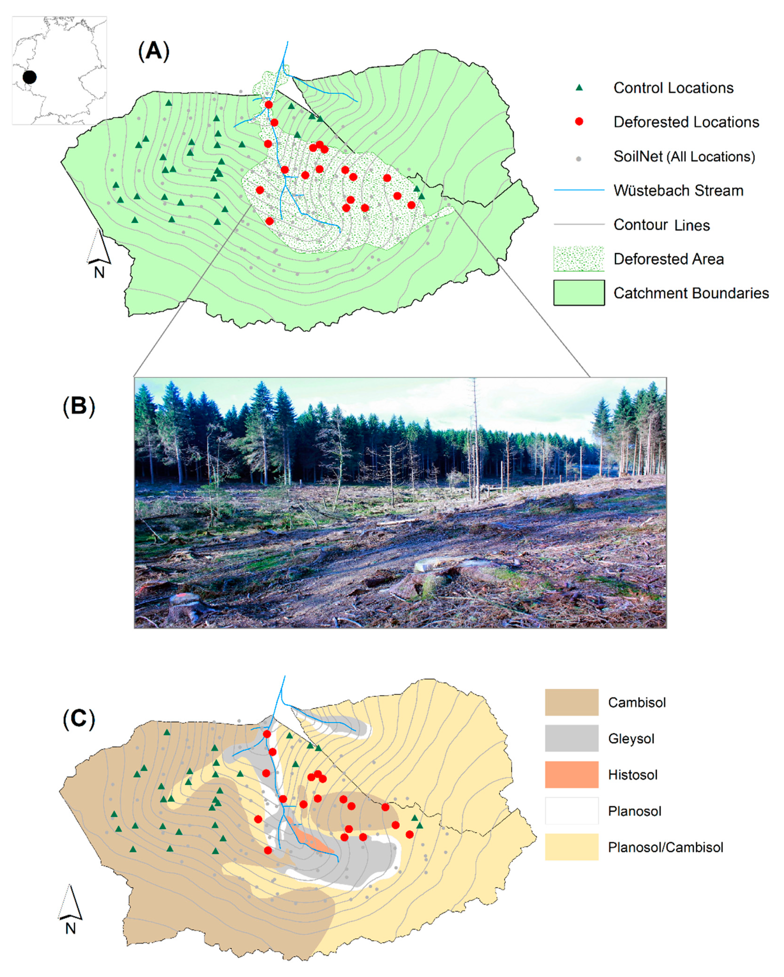 VANINA - Study and monitoring of deforestation in the vanilla supply basin  for a company – Nitidæ