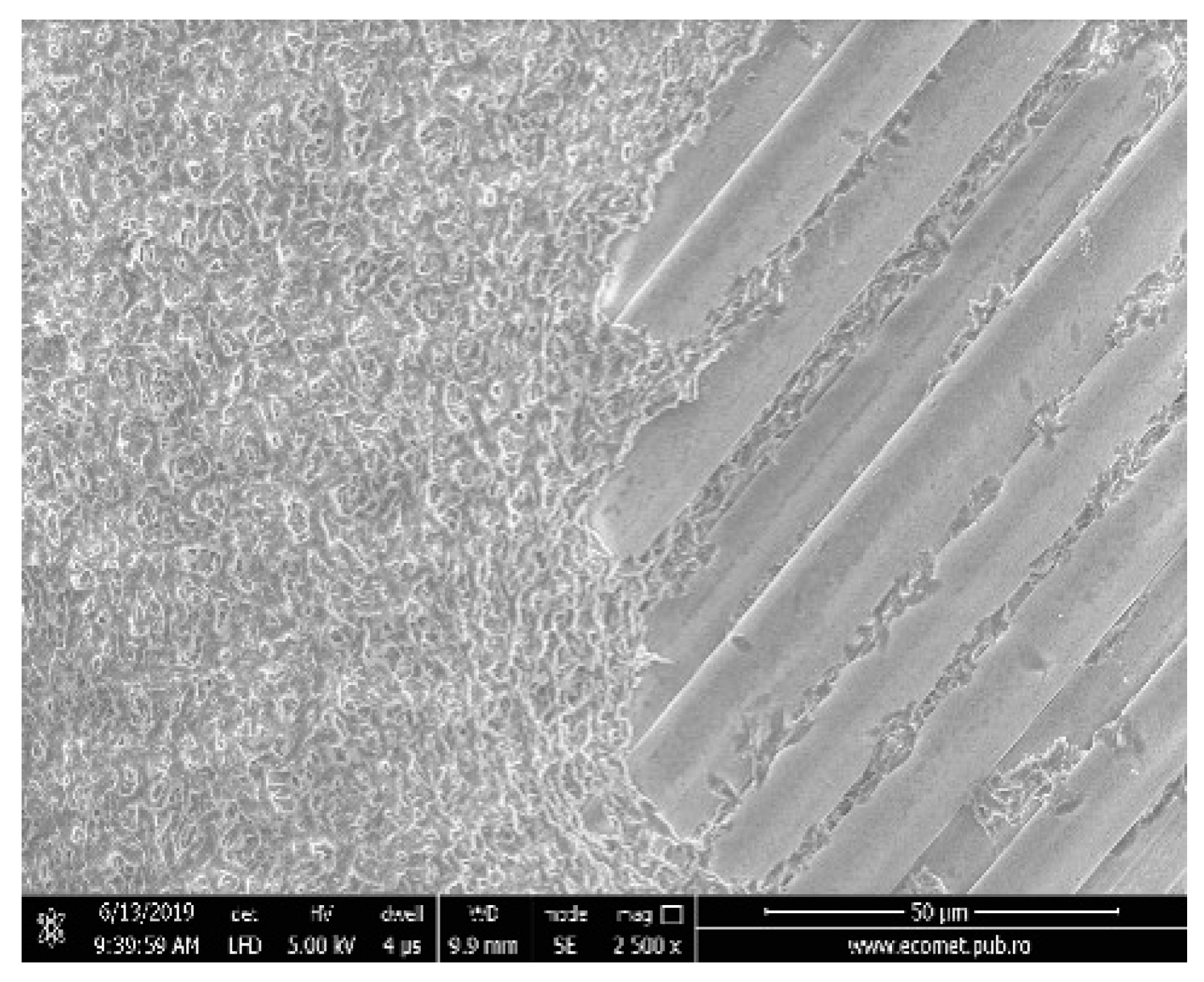 Water | Free Full-Text | Photocatalytic Degradation of Ampicillin Using  PLA/TiO2 Hybrid Nanofibers Coated on Different Types of Fiberglass