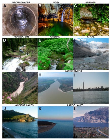 Water Free Full Text Characteristics Main Impacts And Stewardship Of Natural And Artificial Freshwater Environments Consequences For Biodiversity Conservation Html