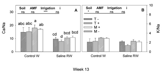 Water Free Full Text Influence Of Mixed Substrate And Arbuscular Mycorrhizal Fungi On Photosynthetic Efficiency Nutrient And Water Status And Yield In Tomato Plants Irrigated With Saline Reclaimed Waters Html