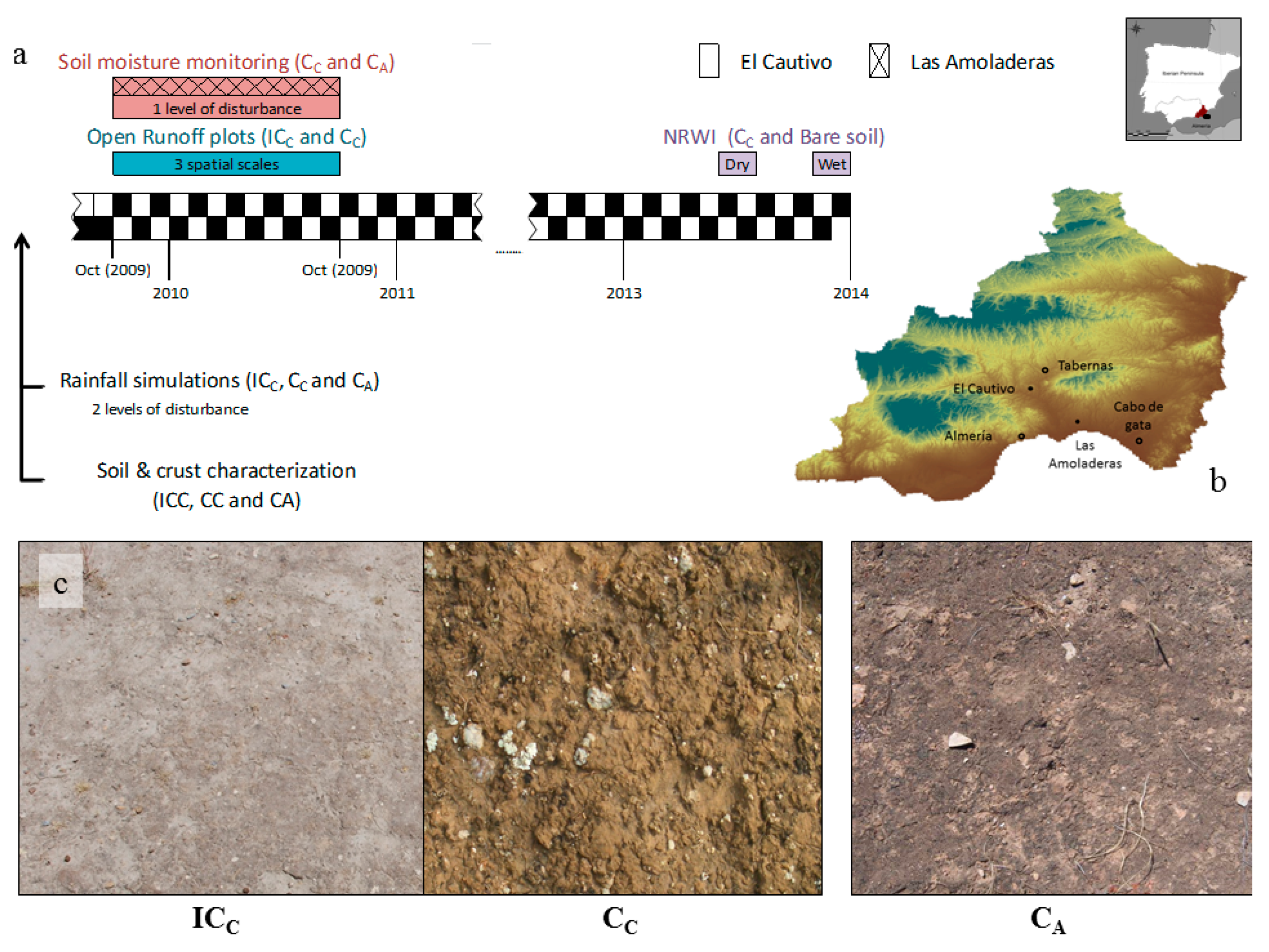 Water | Free Full-Text | Water Regulation in Cyanobacterial Biocrusts from  Drylands: Negative Impacts of Anthropogenic Disturbance