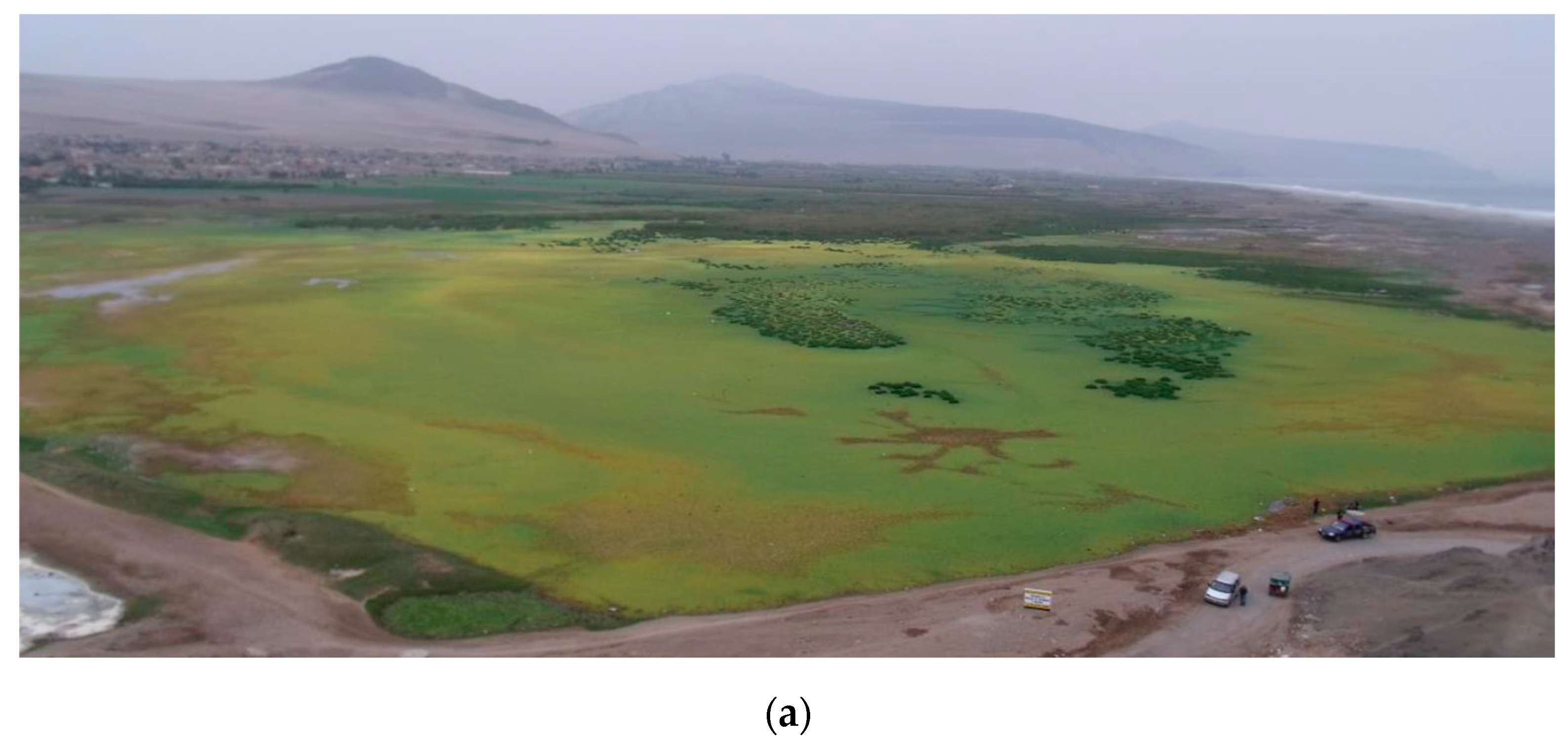 Water | Free Full-Text | Innovative Feasibility Study for the Reclamation  of the Cascajo Wetlands in Peru Utilizing Sustainable Technologies