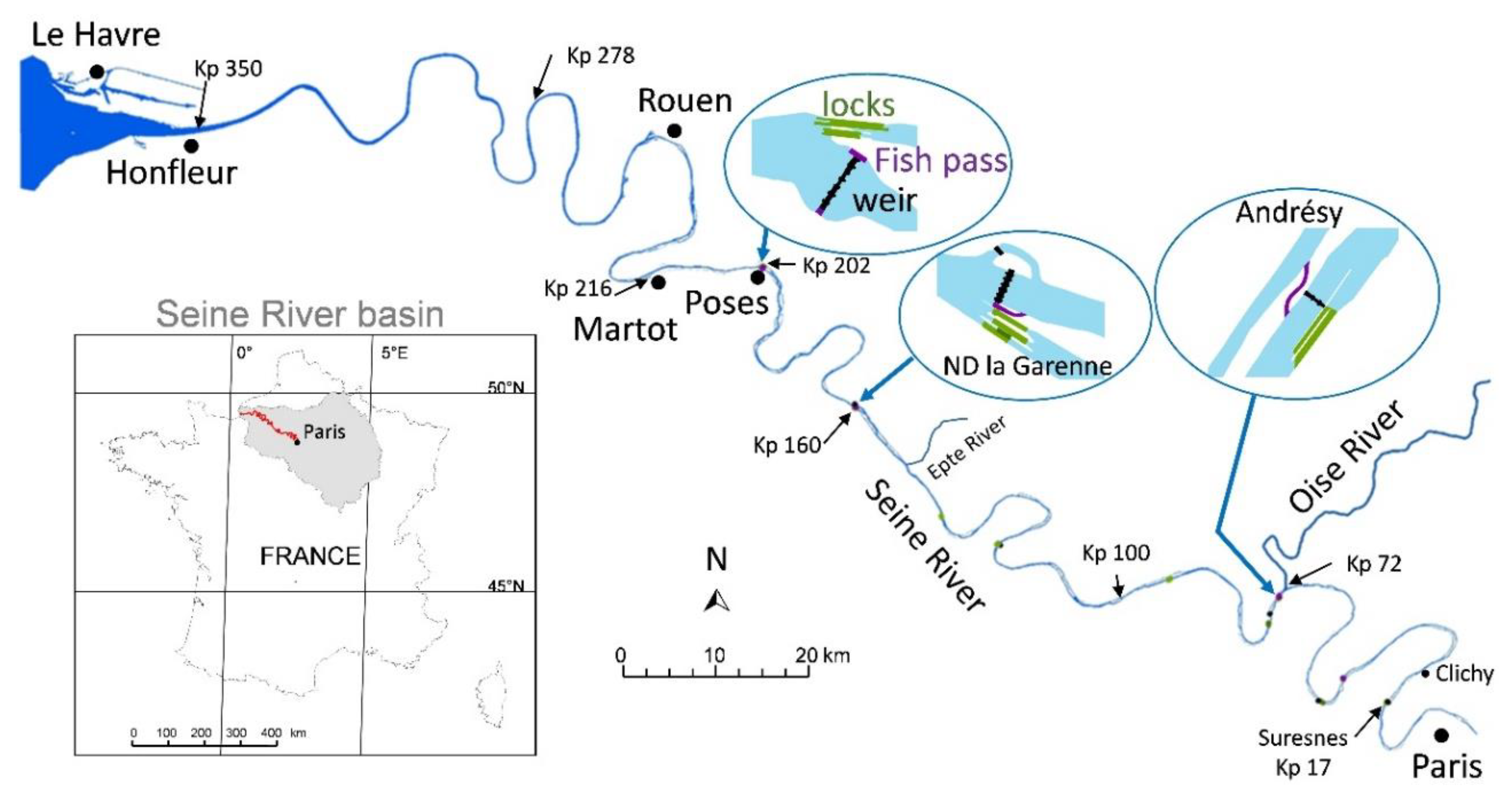 Water | Free Full-Text | Historical Changes in the Ecological Connectivity  of the Seine River for Fish: A Focus on Physical and Chemical Barriers  Since the Mid-19th Century
