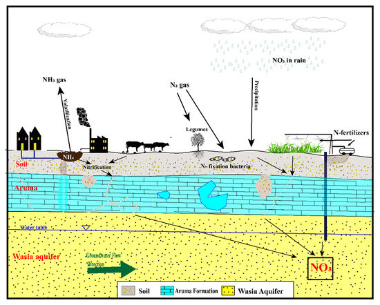 Water Free Full Text Geochemical Assessment Of Potential Sources For Nitrate In The Wasia Aquifer Al Kharj Area Central Saudi Arabia Html