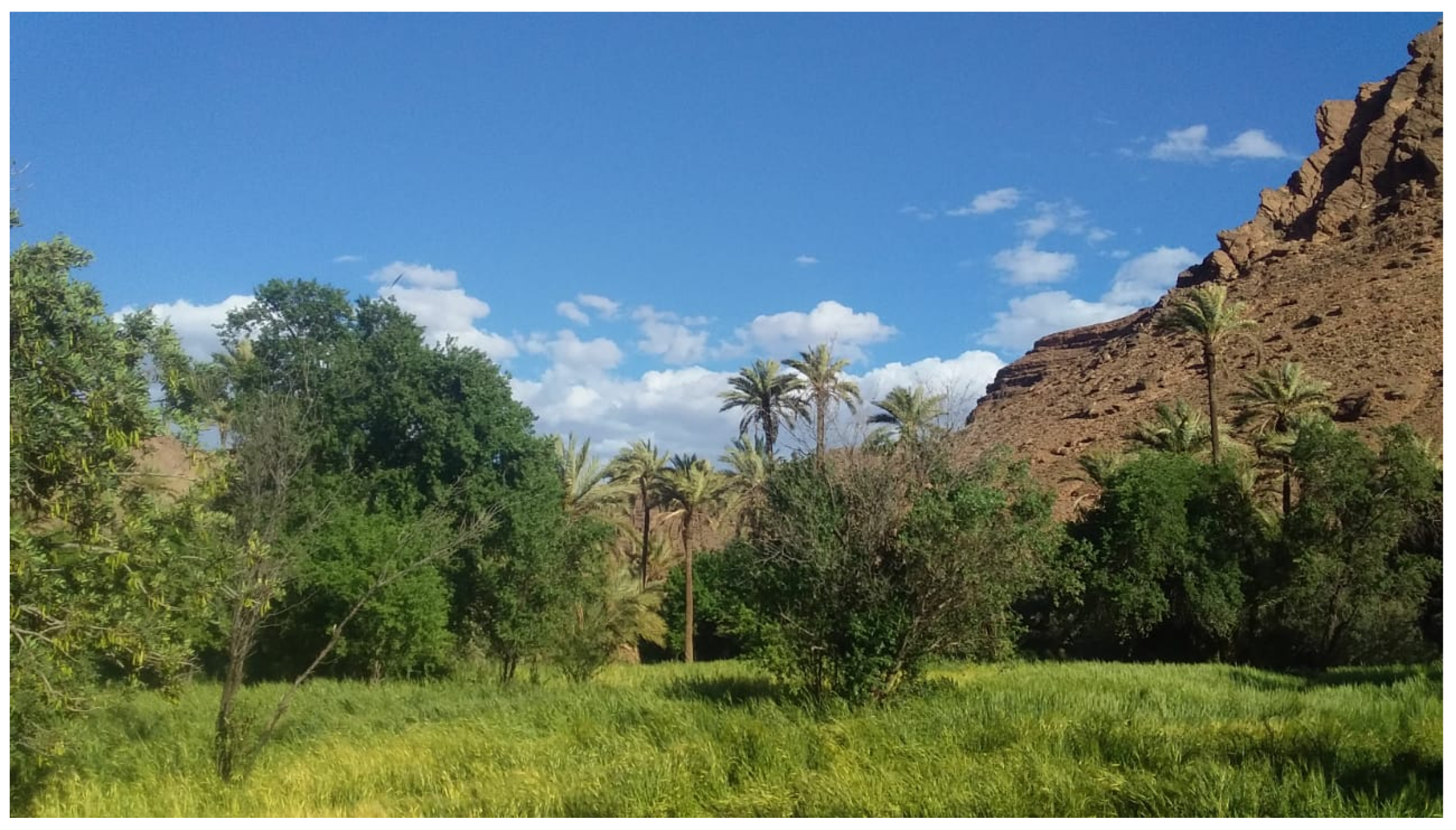 Water 12 01693 g008 Water 12 01693 g008