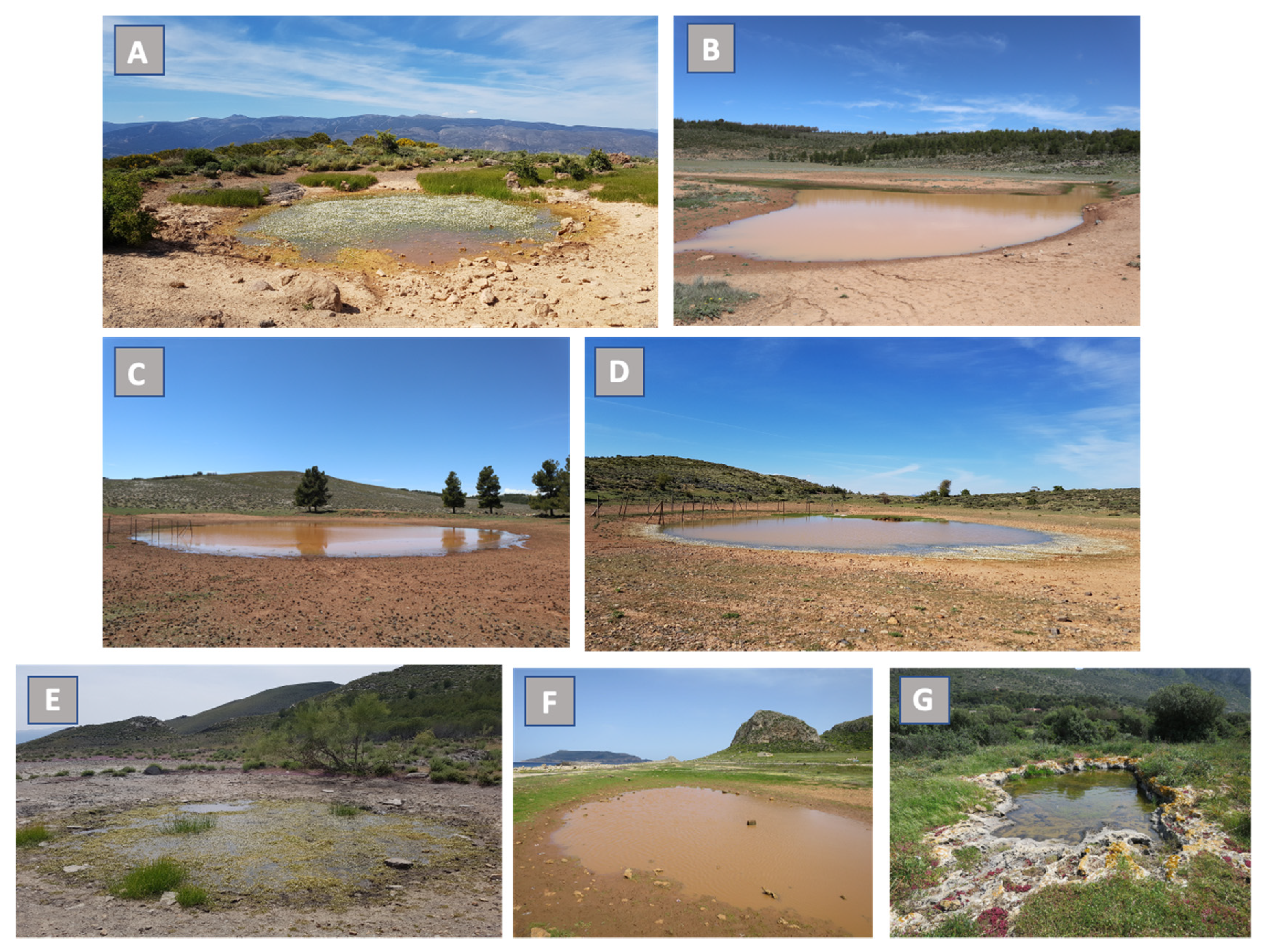 Water 12 01989 g002 Water 12 01989 g002