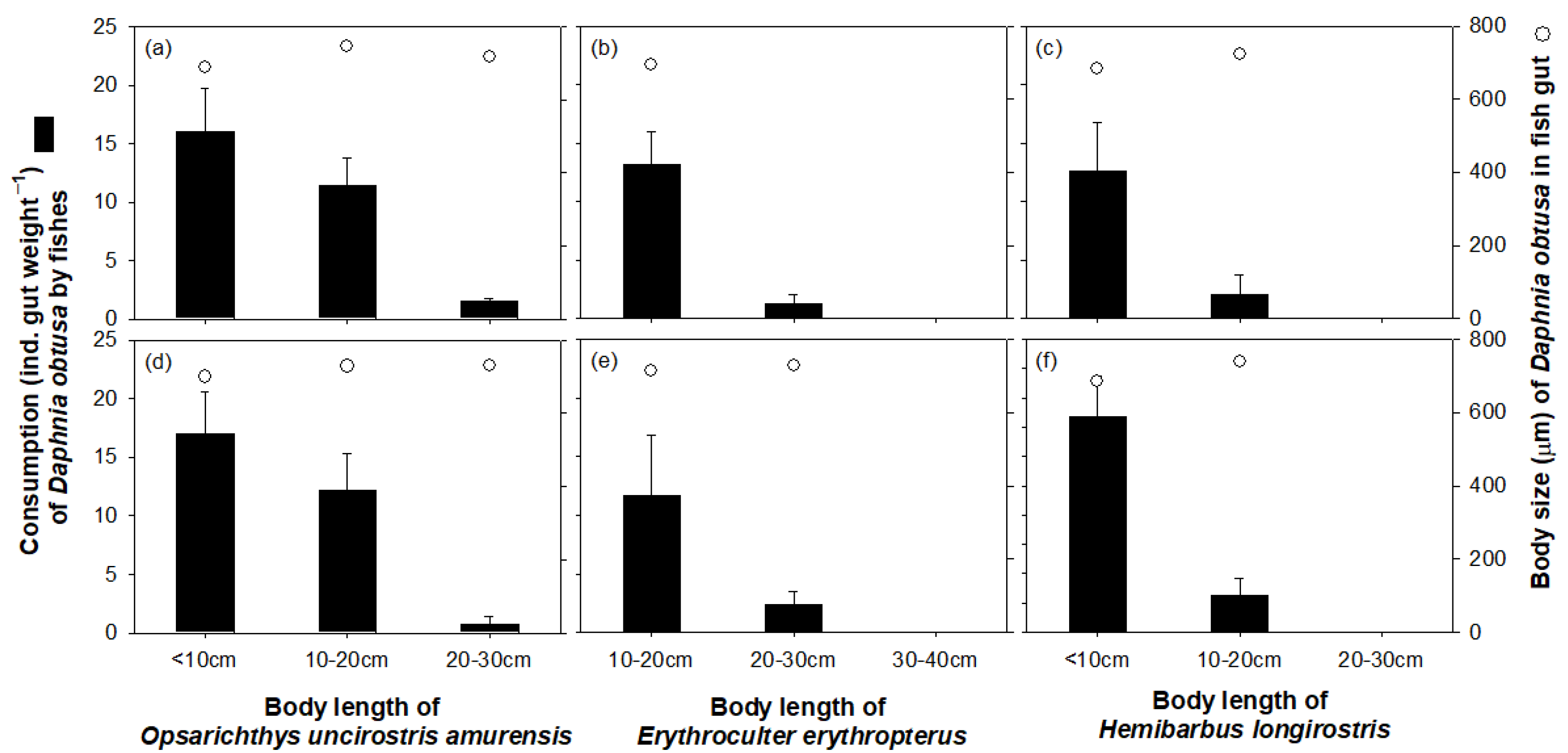 Water Free Full Text Differences In The Vertical Distribution Of Two Cladoceran Species In The Nakdong River Estuary South Korea Html