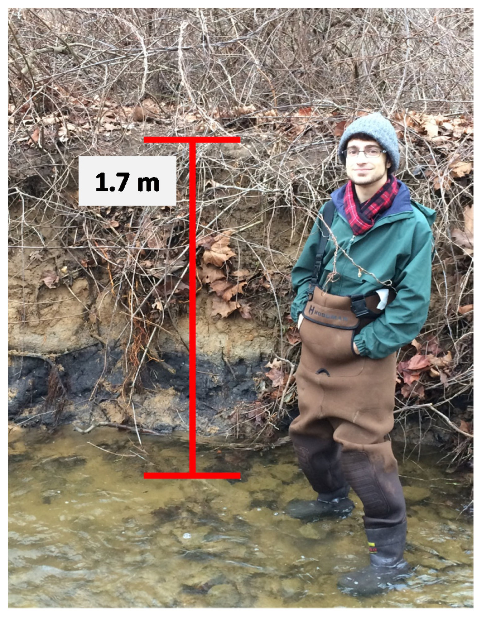 Water 12 02164 g002 Water 12 02164 g002