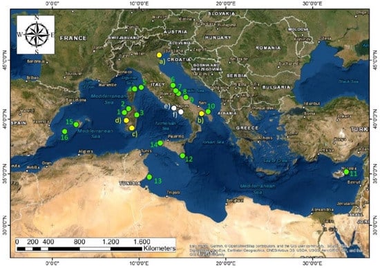 High Resolution Digital Color Map of the Mediterranean Sea and