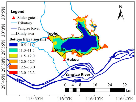 Water | Free Full-Text | Long Term Aquatic Vegetation Dynamics in Longgan  Lake Using Landsat Time Series and Their Responses to Water Level  Fluctuation