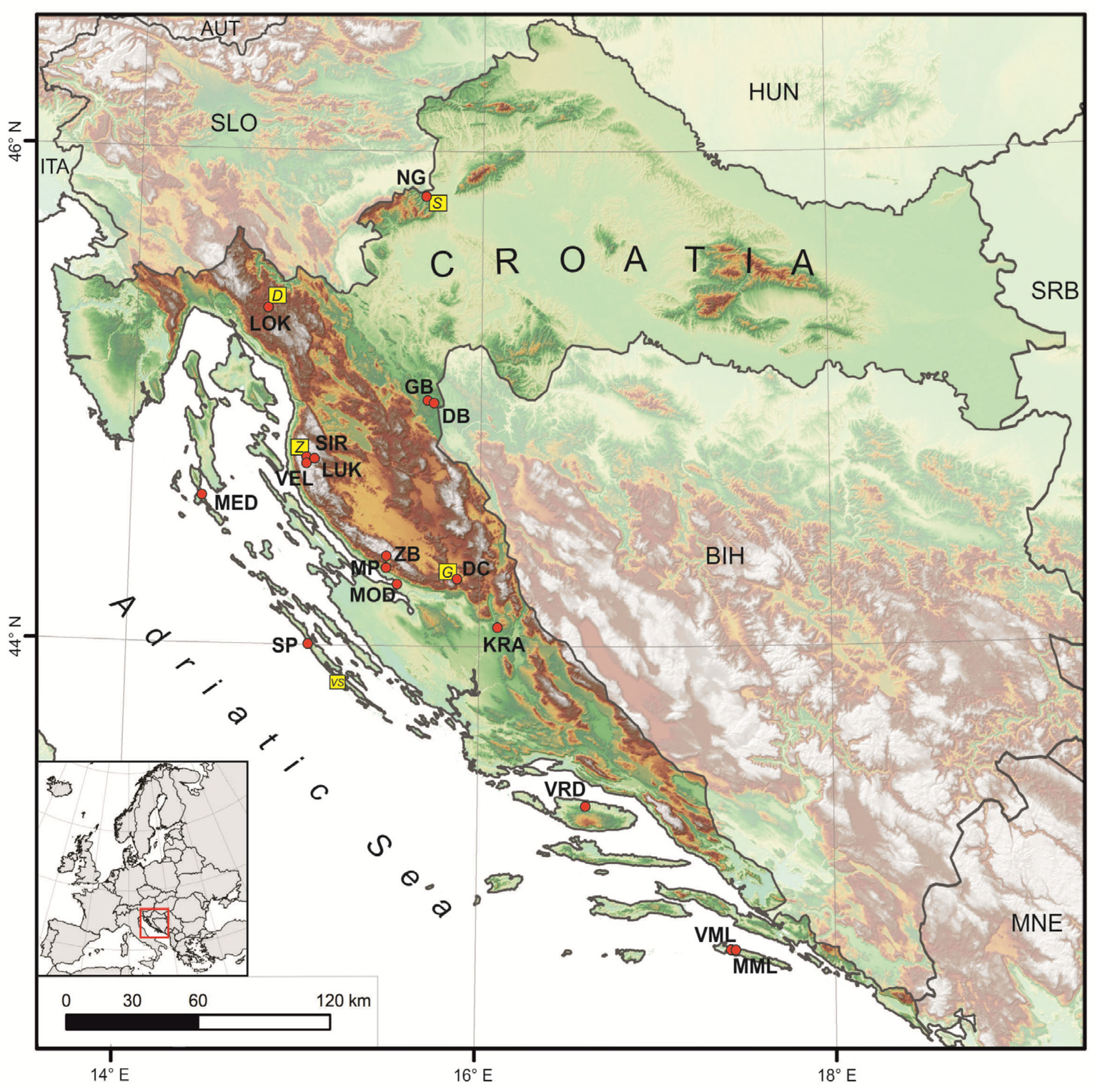 Water | Free Full-Text | Stable Isotope Hydrology of Cave Groundwater and  Its Relevance for Speleothem-Based Paleoenvironmental Reconstruction in  Croatia