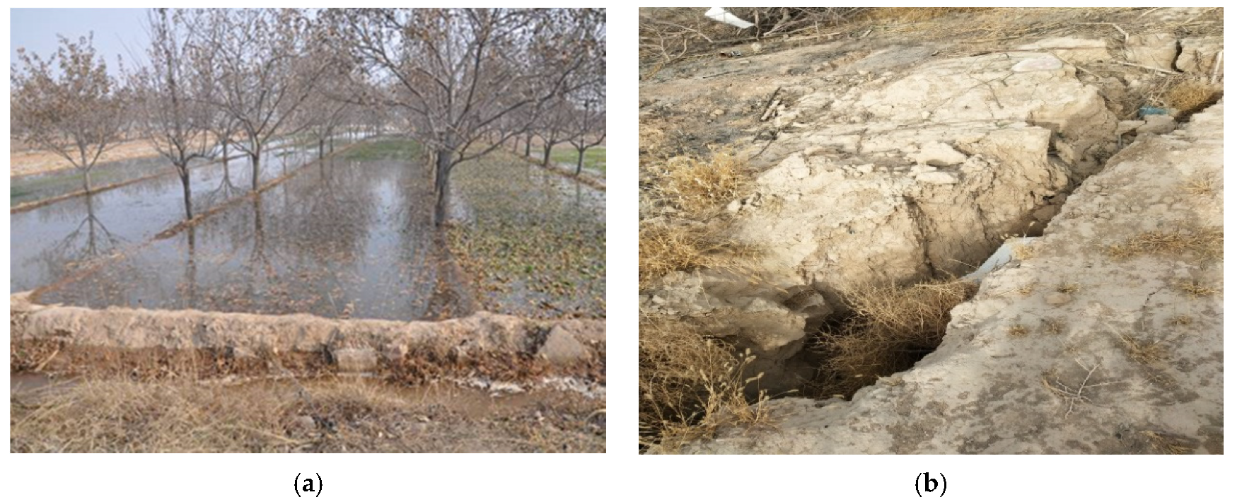 Water 12 02546 g004 Water 12 02546 g004