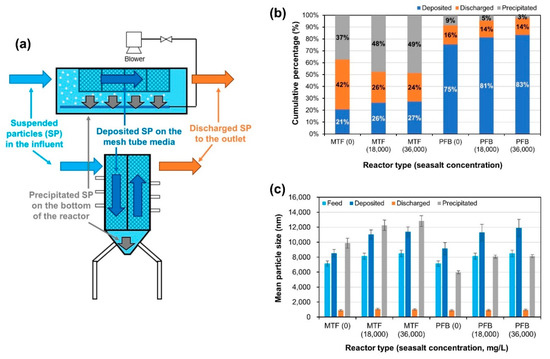 Water Free Full Text An Improved Configuration Of Vertical Flow Mesh Tube Filters For Seawater Pretreatment Performance Cleaning And Energy Consumption Html