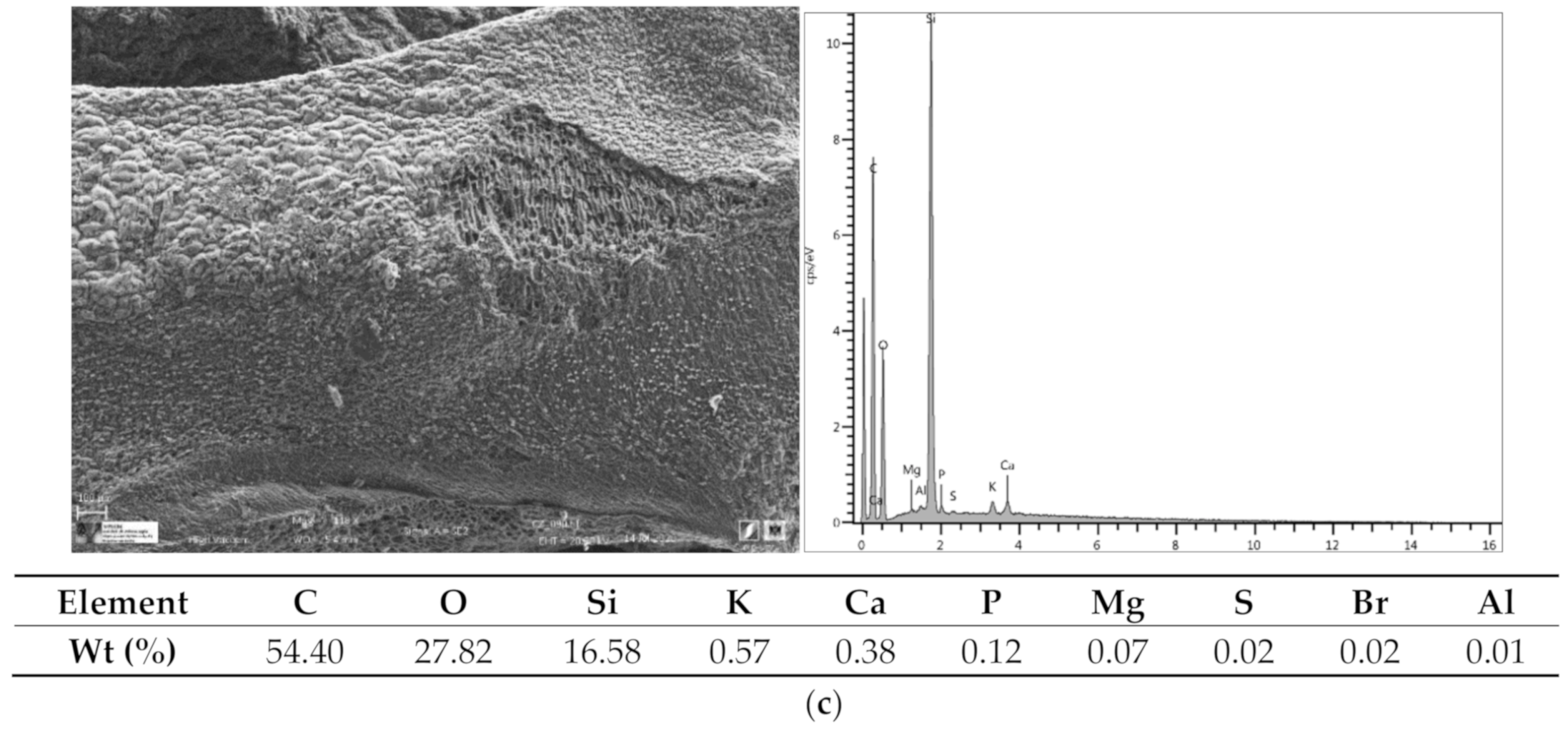 Water 12 02933 g002b Water 12 02933 g002b