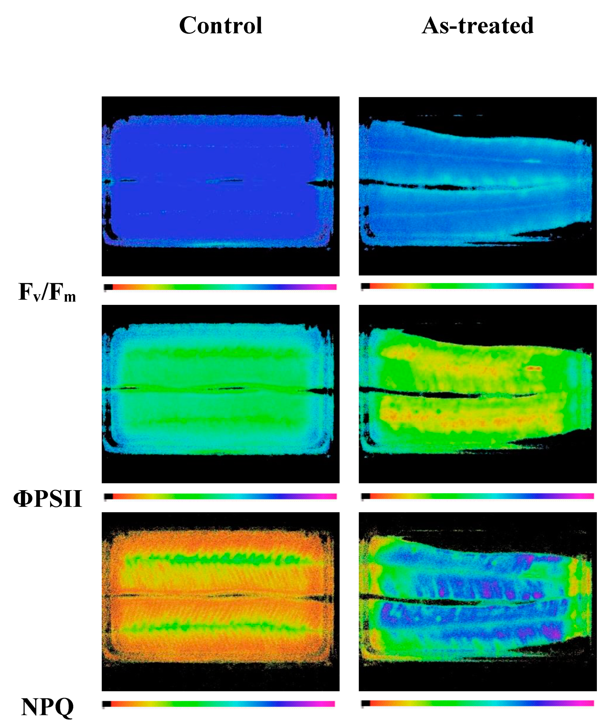 Water 12 03127 g004 Water 12 03127 g004