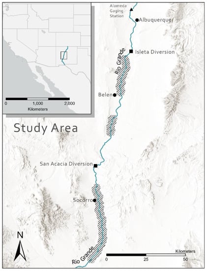 Water | Free Full-Text | Fish Rescue during Streamflow Intermittency May  Not Be Effective for Conservation of Rio Grande Silvery Minnow | HTML