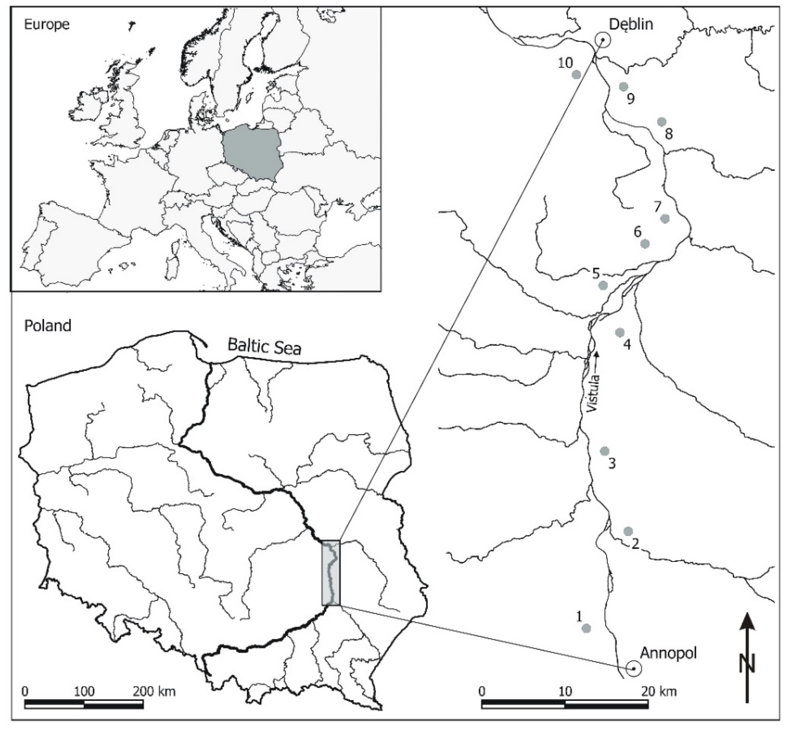 Water 12 03423 g002 Water 12 03423 g002