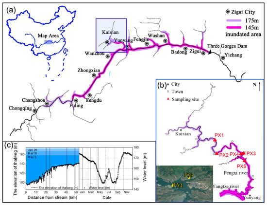 Water | Free Full-Text | Spatio-Temporal Variations In Phytoplankton ...