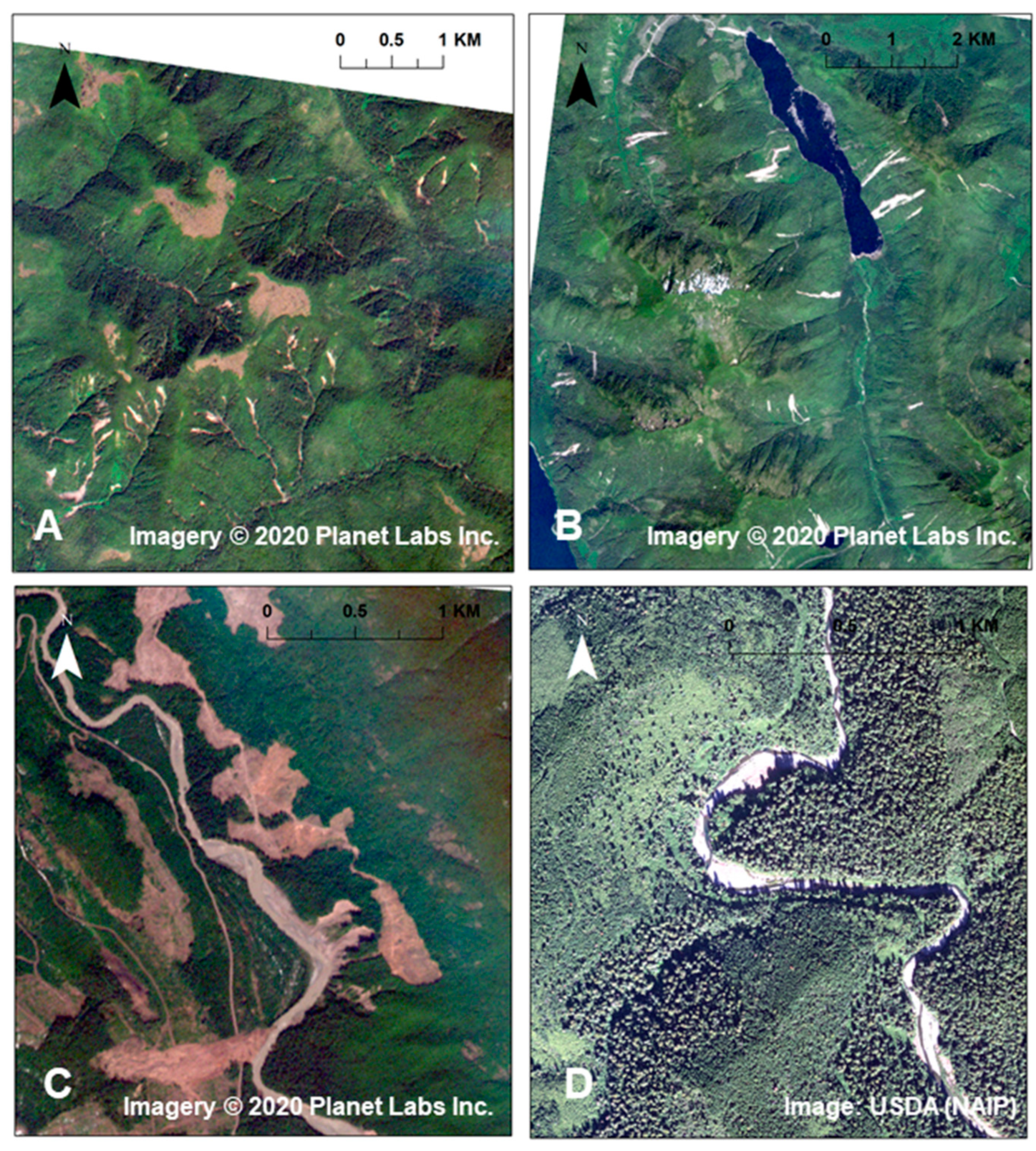 Water | Free Full-Text | Vegetation and Geomorphic Connectivity in Mountain  Fluvial Systems | HTML