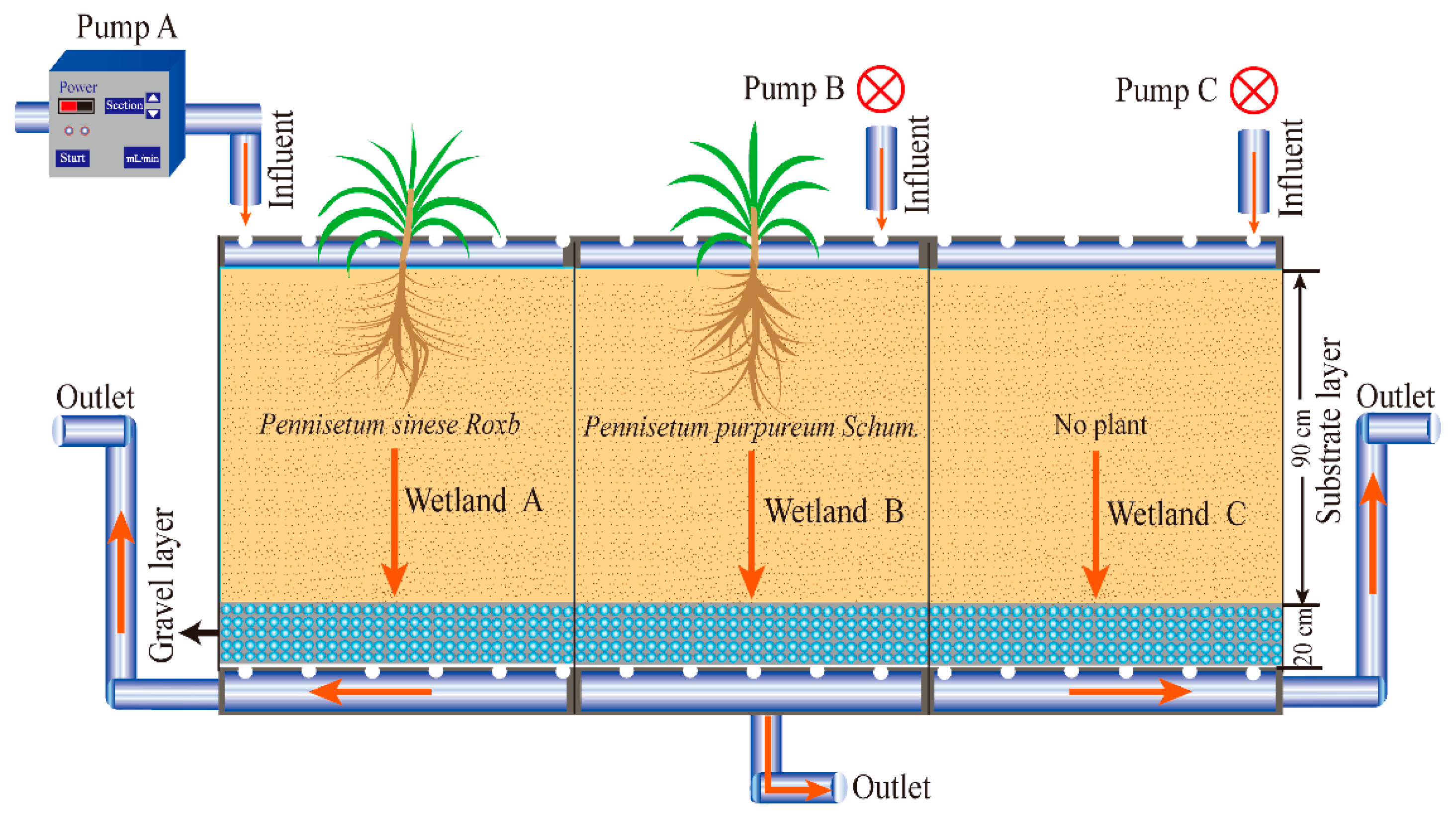 Water | Free Full-Text | Influences of Dimethyl Phthalate on Bacterial  Community and Enzyme Activity in Vertical Flow Constructed Wetland