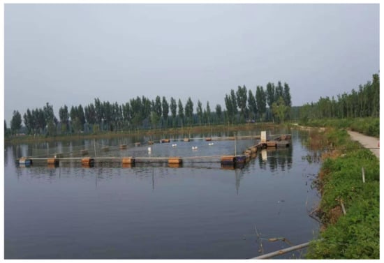 Water Free Full Text Evaluation of Aquaculture Water Quality