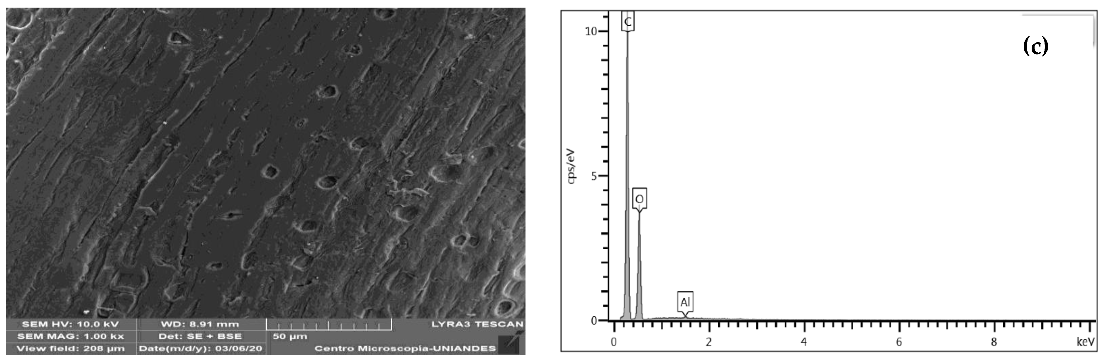 Water 13 01382 g003b