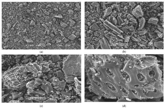 The scanning electron microscopy (SEM) image of activated carbon (a)