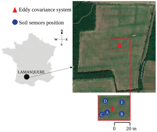 Water | Free Full-Text | Hydrological Functioning of Maize Crops in  Southwest France Using Eddy Covariance Measurements and a Land Surface Model