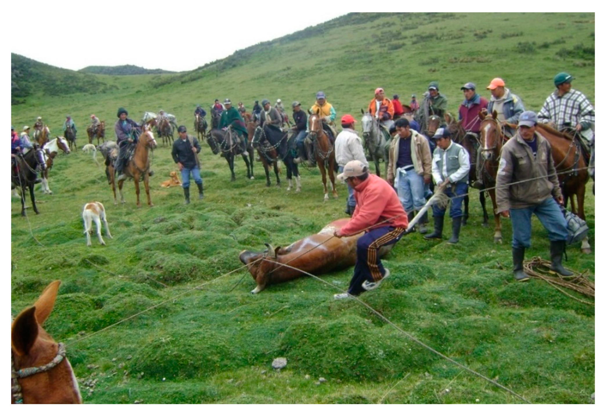 Water 13 01600 g004 Water 13 01600 g004