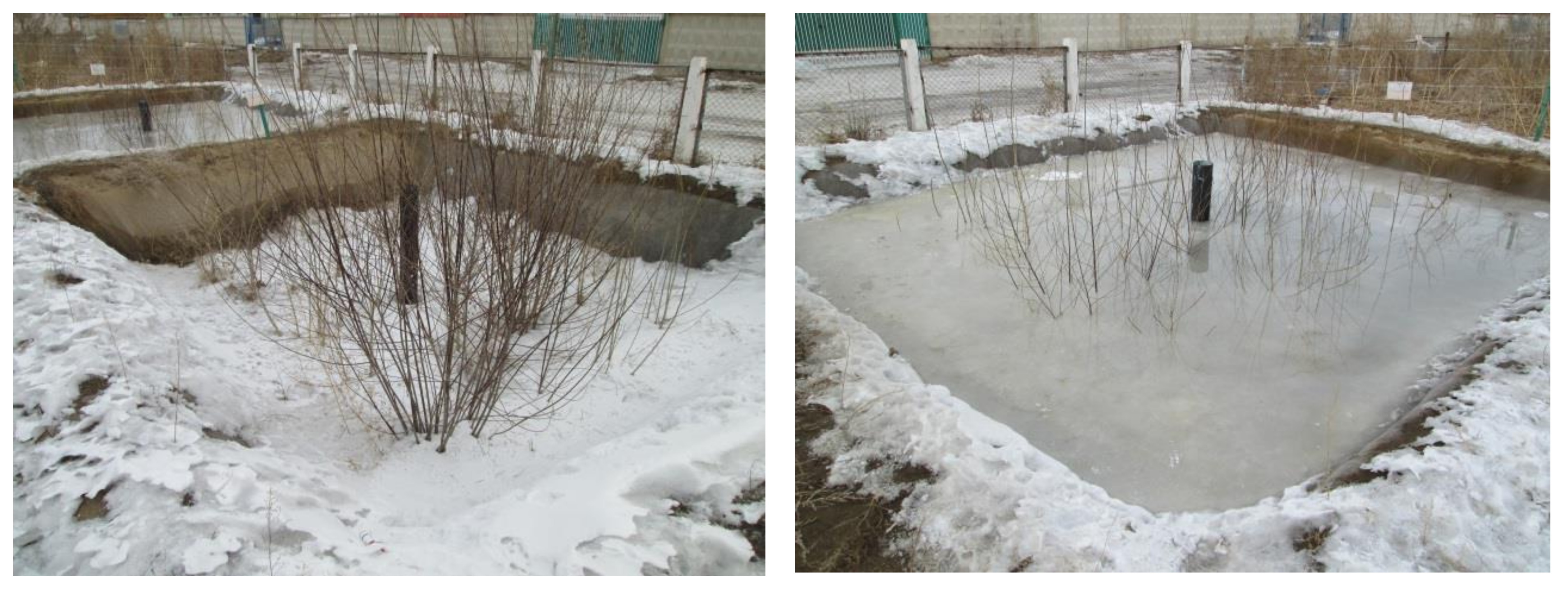 Water | Free Full-Text | Wastewater Treatment and Wood Production of Willow  System in Cold Climate | HTML