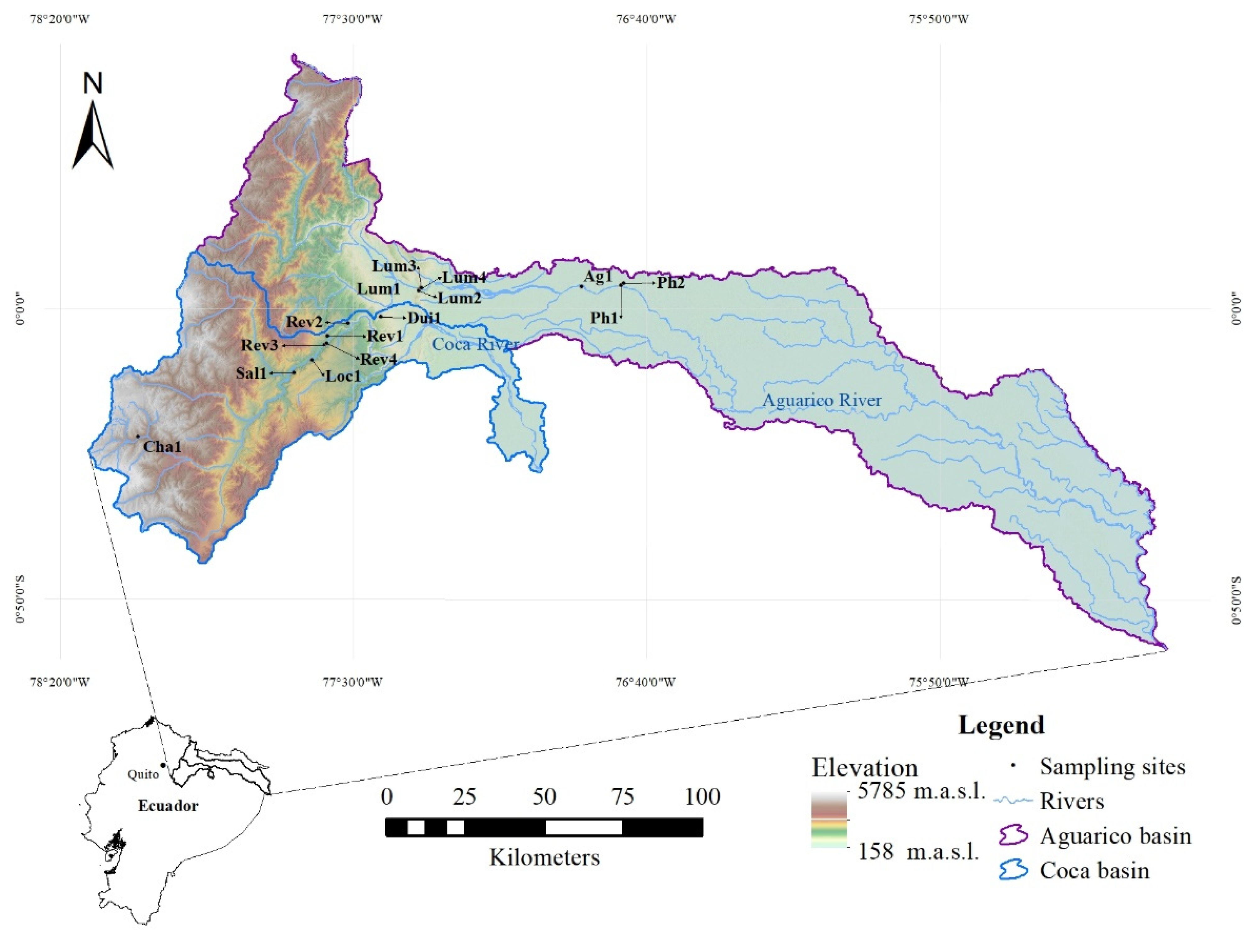 Water | Free Full-Text | Variations in Benthic Macroinvertebrate  Communities and Biological Quality in the Aguarico and Coca River Basins in  the Ecuadorian Amazon