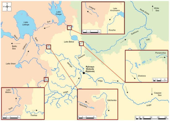 Water | Free Full-Text | Invasion of the European River Lamprey Lampetra  fluviatilis in the Upper Volga