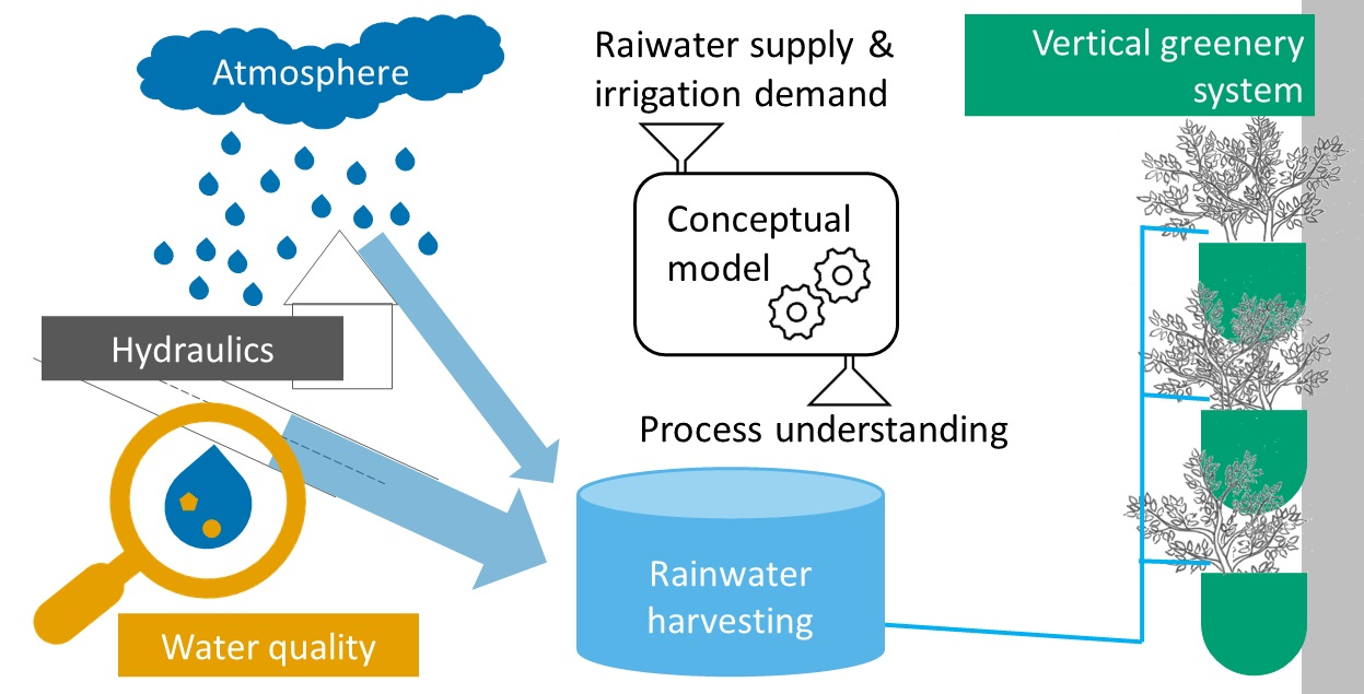 Water | Free Full-Text | Rainwater Use for Vertical Greenery Systems:  Development of a Conceptual Model for a Better Understanding of Processes  and Influencing Factors | HTML