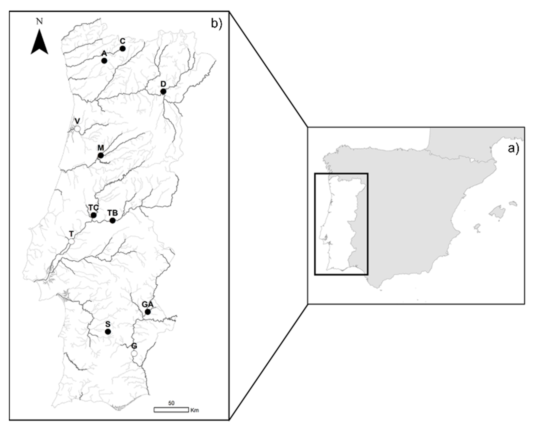Water | Free Full-Text | Variation in Diet Patterns of the Invasive Top  Predator Sander lucioperca (Linnaeus, 1758) across Portuguese Basins