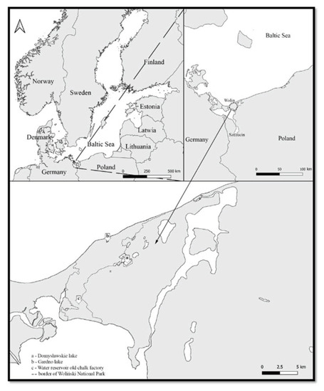 Water | Special Issue : Aquatic Biodiversity: Threats and Conservation