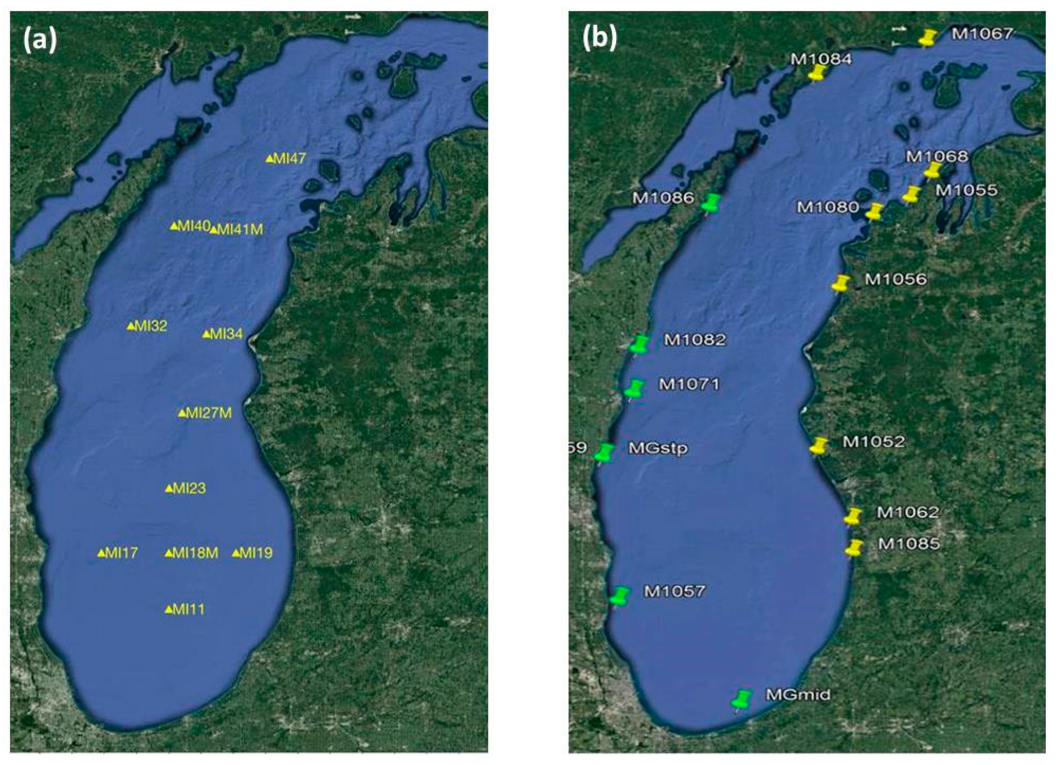 Water Free Full Text Open Lake Phosphorus Forcing Of Cladophora Growth Modeling The Dual Challenge In Great Lakes Trophic State Management Html