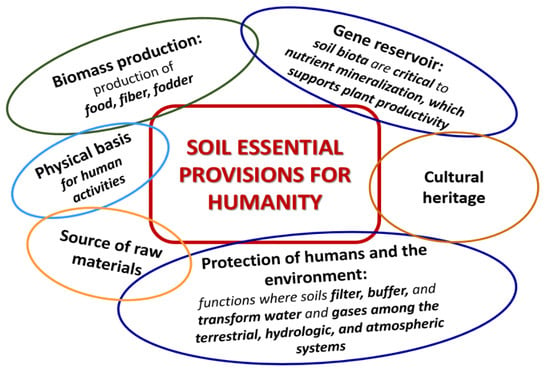 Soil Systems, Free Full-Text