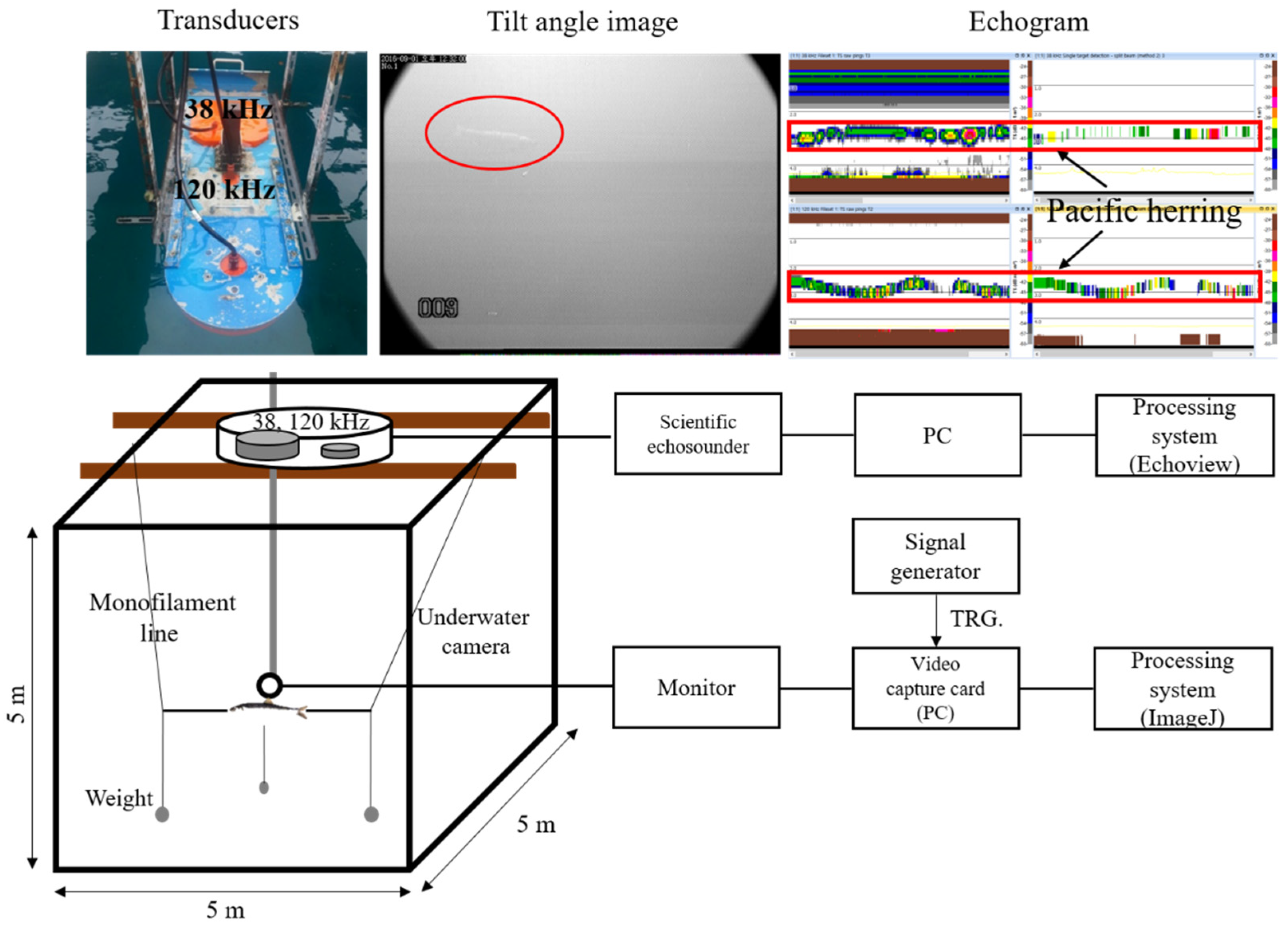 Water 13 03009 g002 Water 13 03009 g002