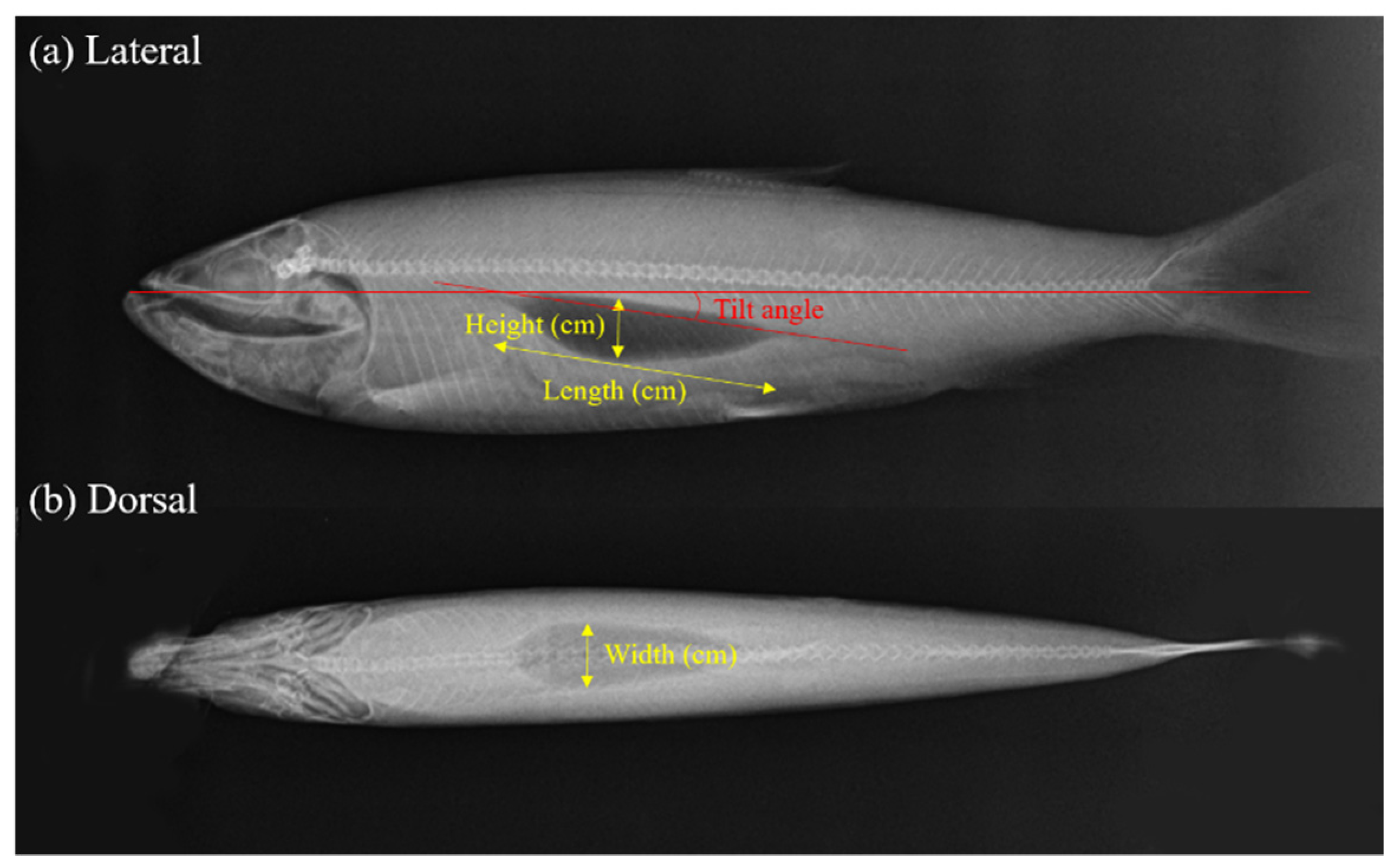Water 13 03009 g003 Water 13 03009 g003