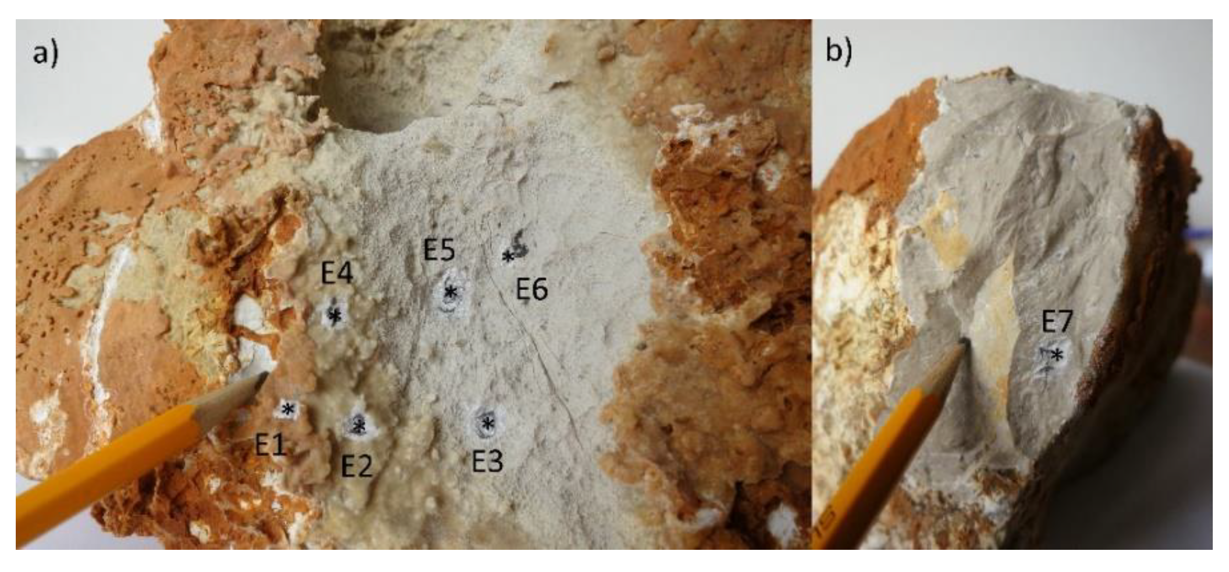 Water | Free Full-Text | Low-Calcium Cave Dripwaters in a High CO2  Environment: Formation and Development of Corrosion Cups in Postojna Cave,  Slovenia | HTML