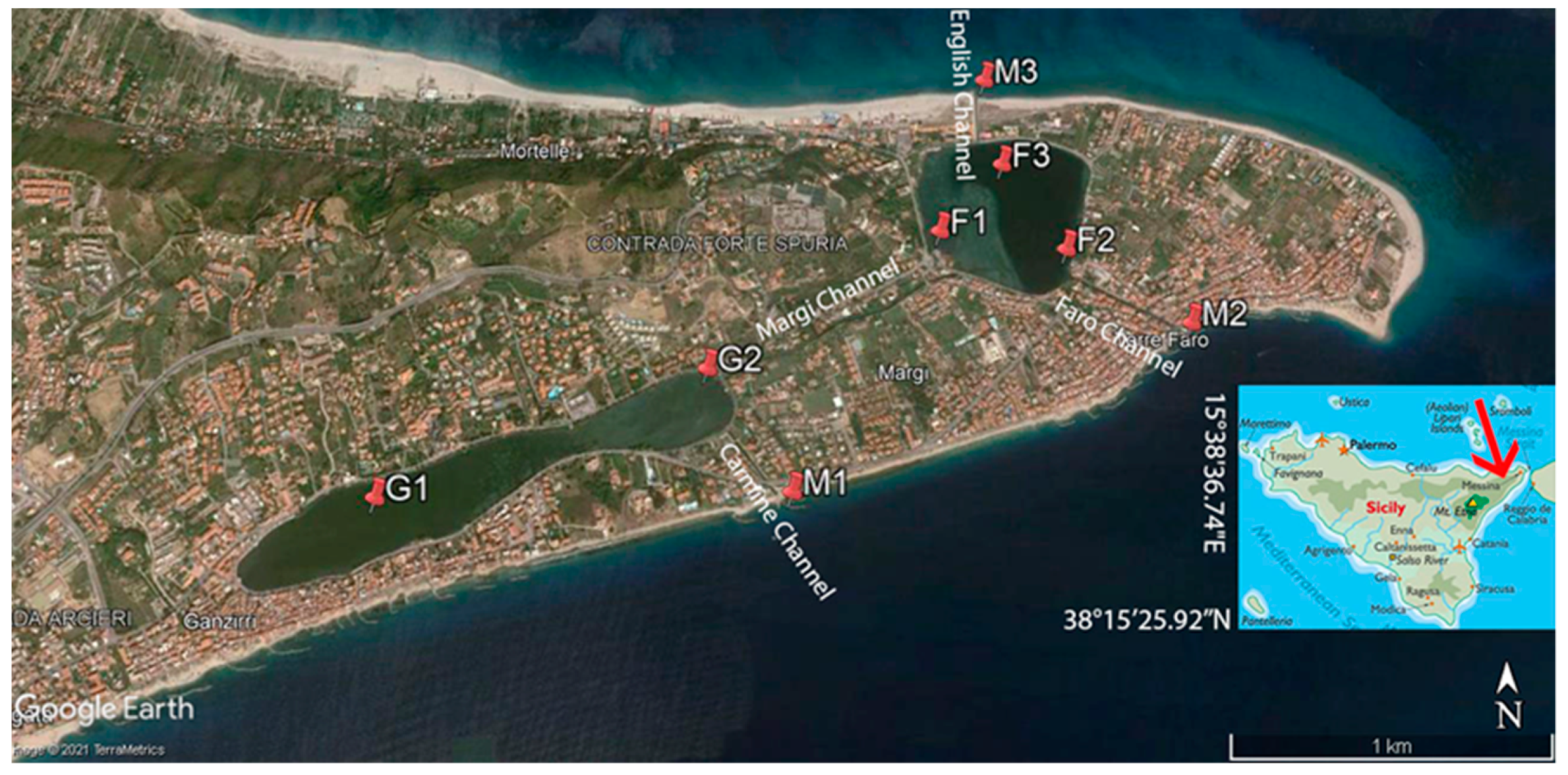 Water | Free Full-Text | Spatiotemporal Organic Carbon Distribution in the  Capo Peloro Lagoon (Sicily, Italy) in Relation to Environmentally  Sustainable Approaches | HTML