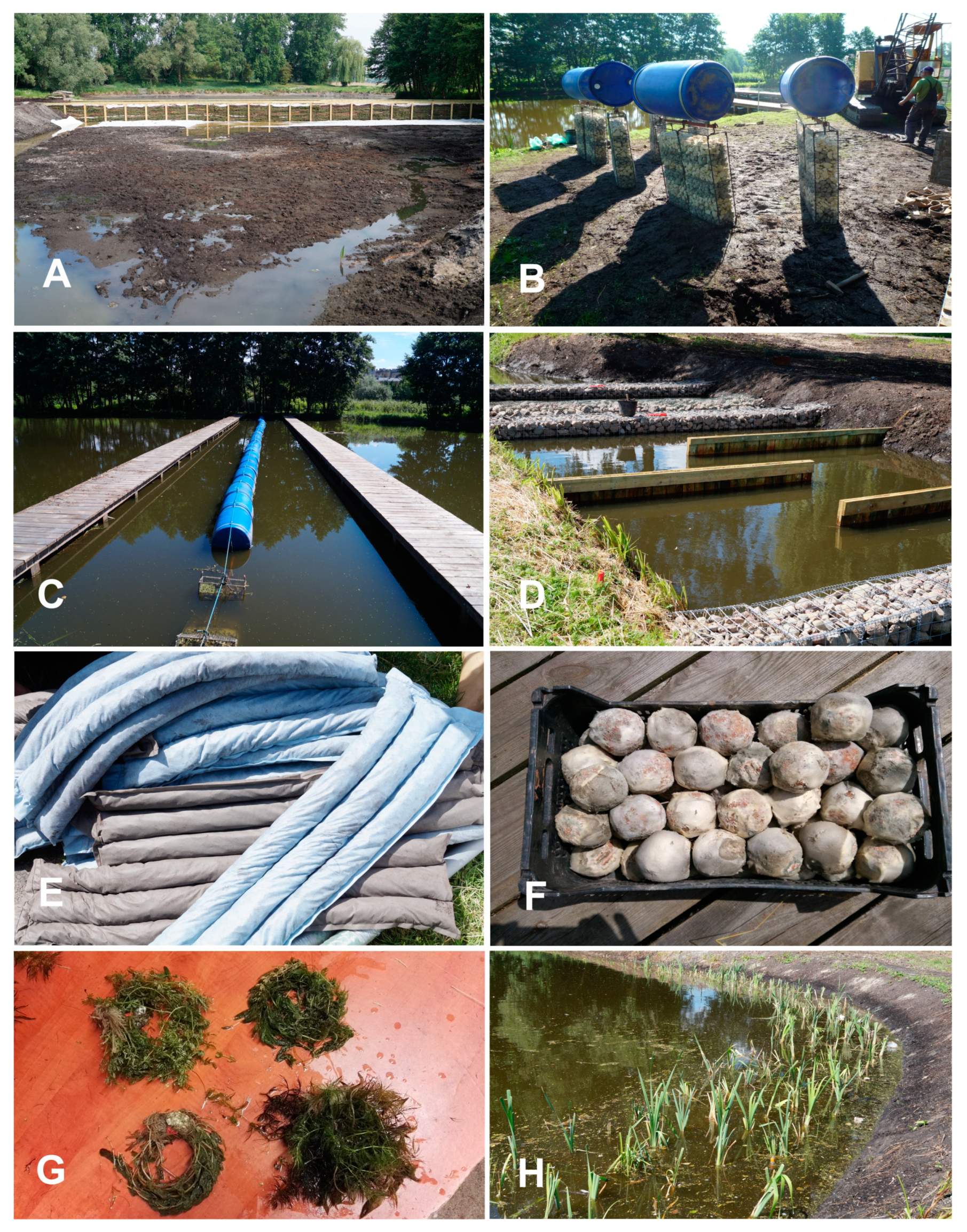 Water | Free Full-Text | Evaluation of the Effectiveness of the SED-BIO  System in Reducing the Inflow of Selected Physical, Chemical and Biological  Pollutants to a Lake