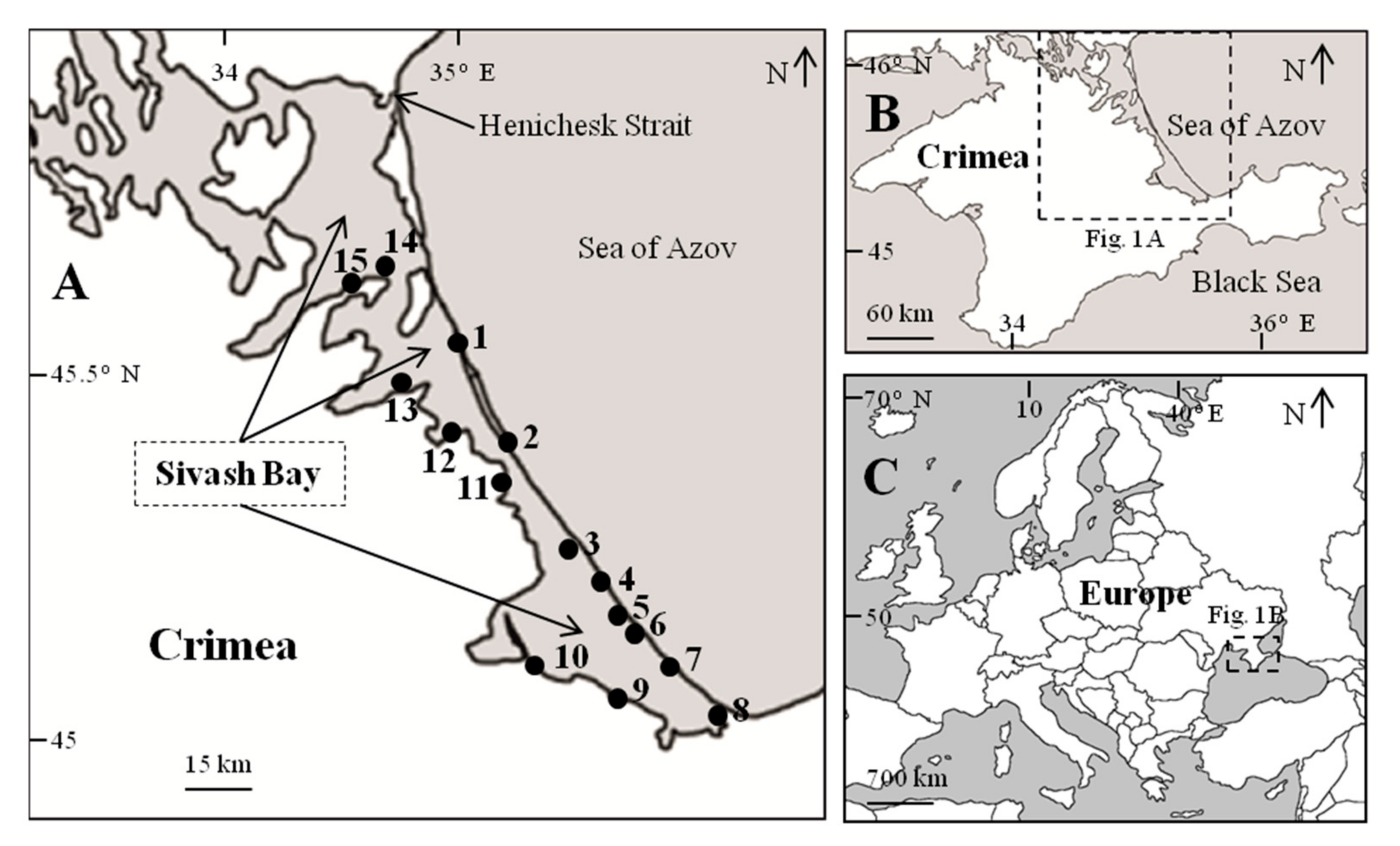 Water | Free Full-Text | Human-Induced Sharp Salinity Changes in