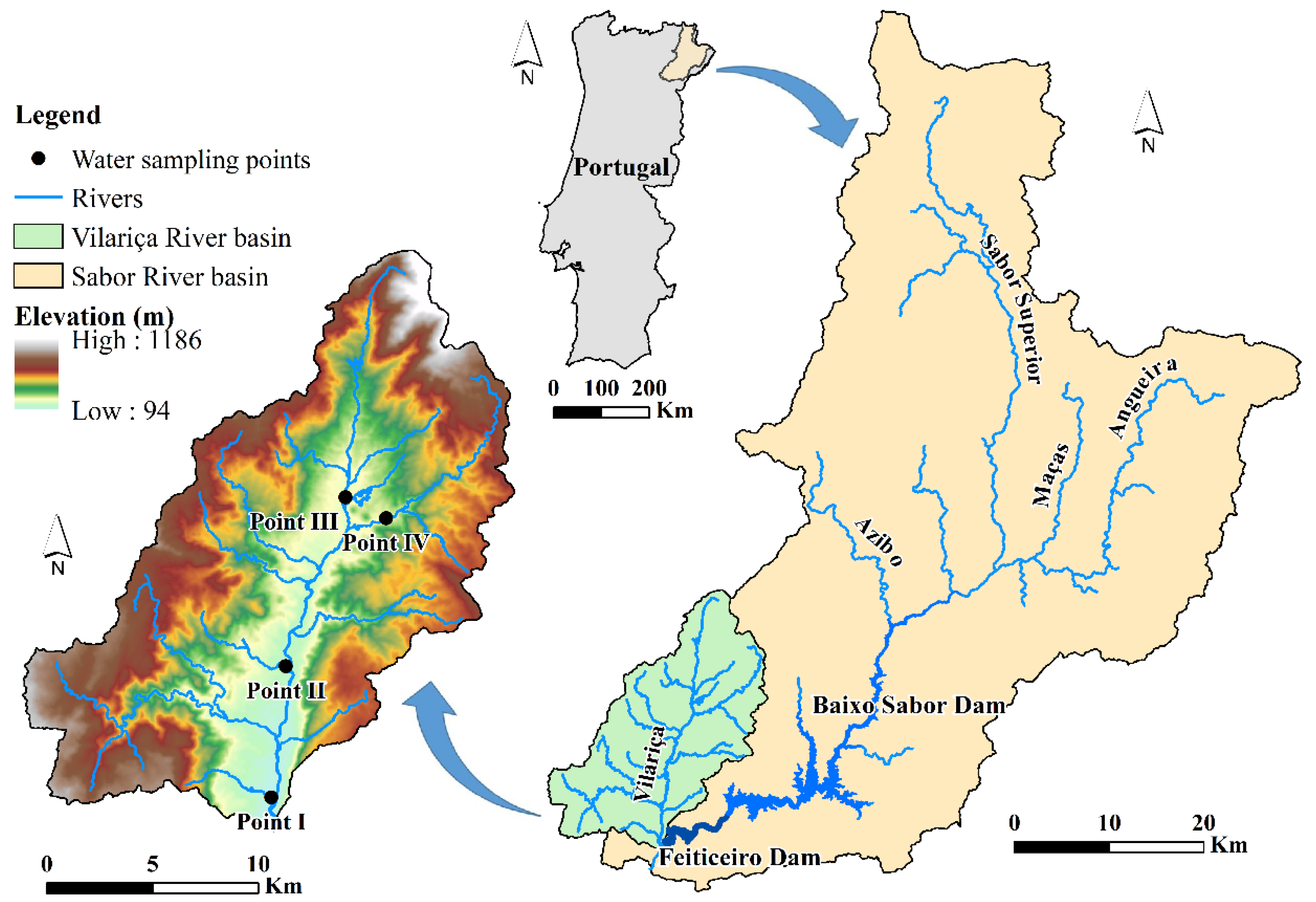 Water | Free Full-Text | Seasonal Differences in Water Pollution and Liver  Histopathology of Iberian Barbel (Luciobarbus bocagei) and Douro Nase  (Pseudochondrostoma duriense) in an Agricultural Watershed | HTML
