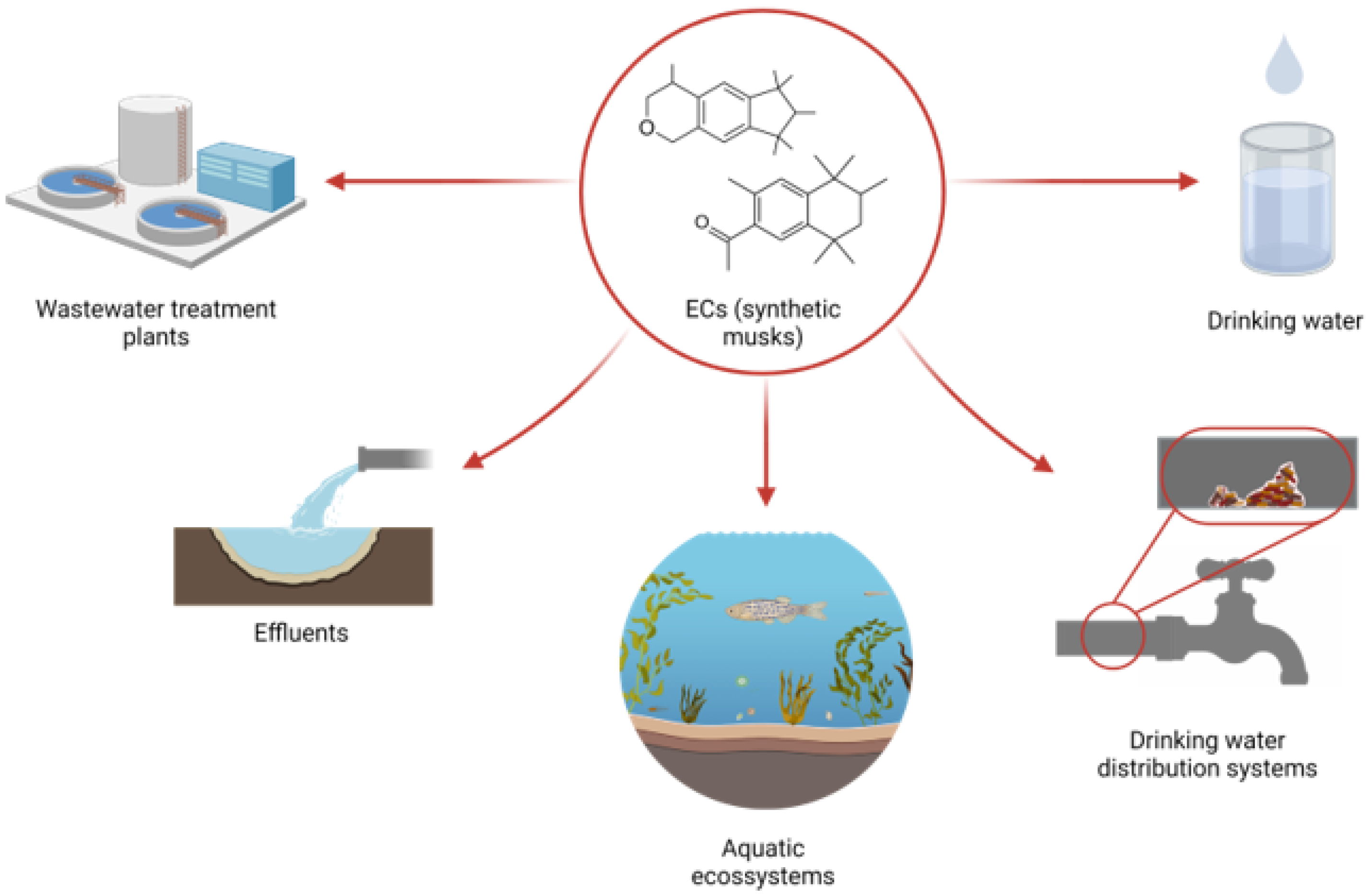Water | Free Full-Text | Synthetic Musk Fragrances in Water Systems and  Their Impact on Microbial Communities